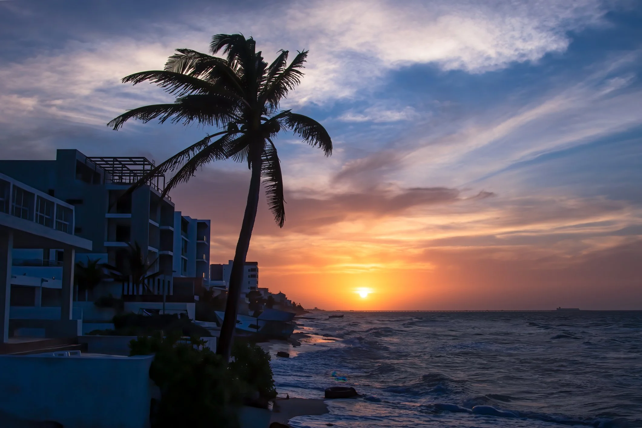 A sunset over the ocean with a silhouette of a palm tree and modern buildings along the shoreline.