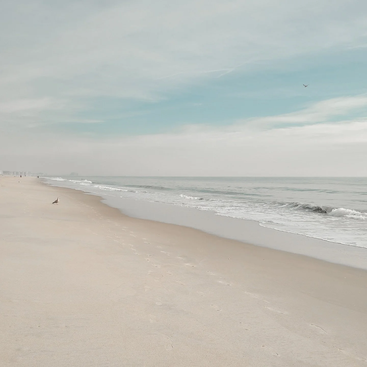 The lowest price isn&rsquo;t always the best value.

Fit, timing, and experience matter far more than a number on a screen.

#ThoughtfulTravel
#TravelPlanning
#BoutiqueTravel
#IntentionalTravel
#WildKindTravel