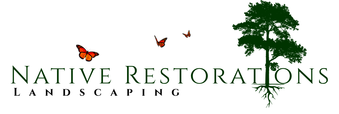 Native Restorations Landscaping