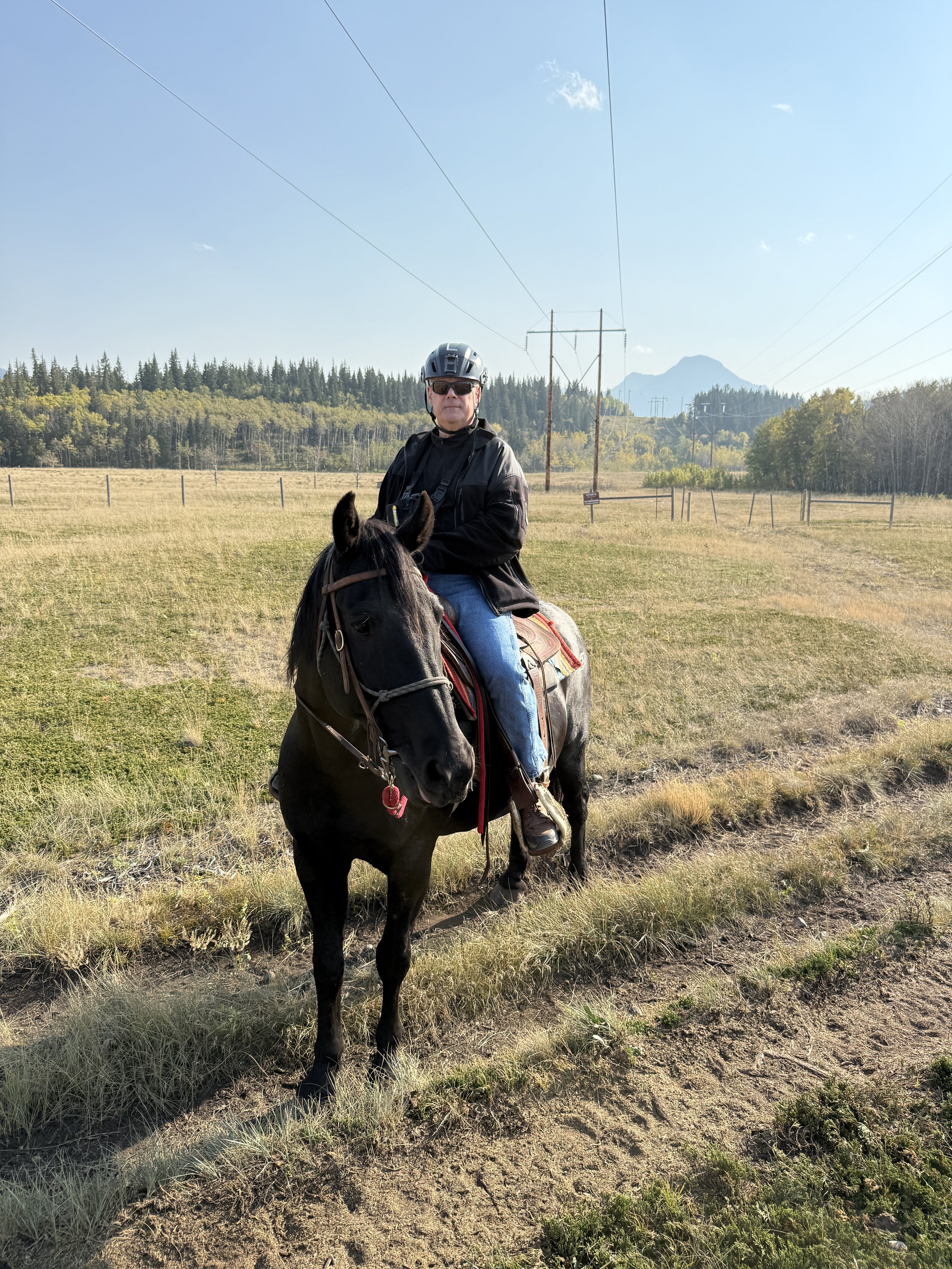 Horses Don’t Tolerate Performative Leadership 