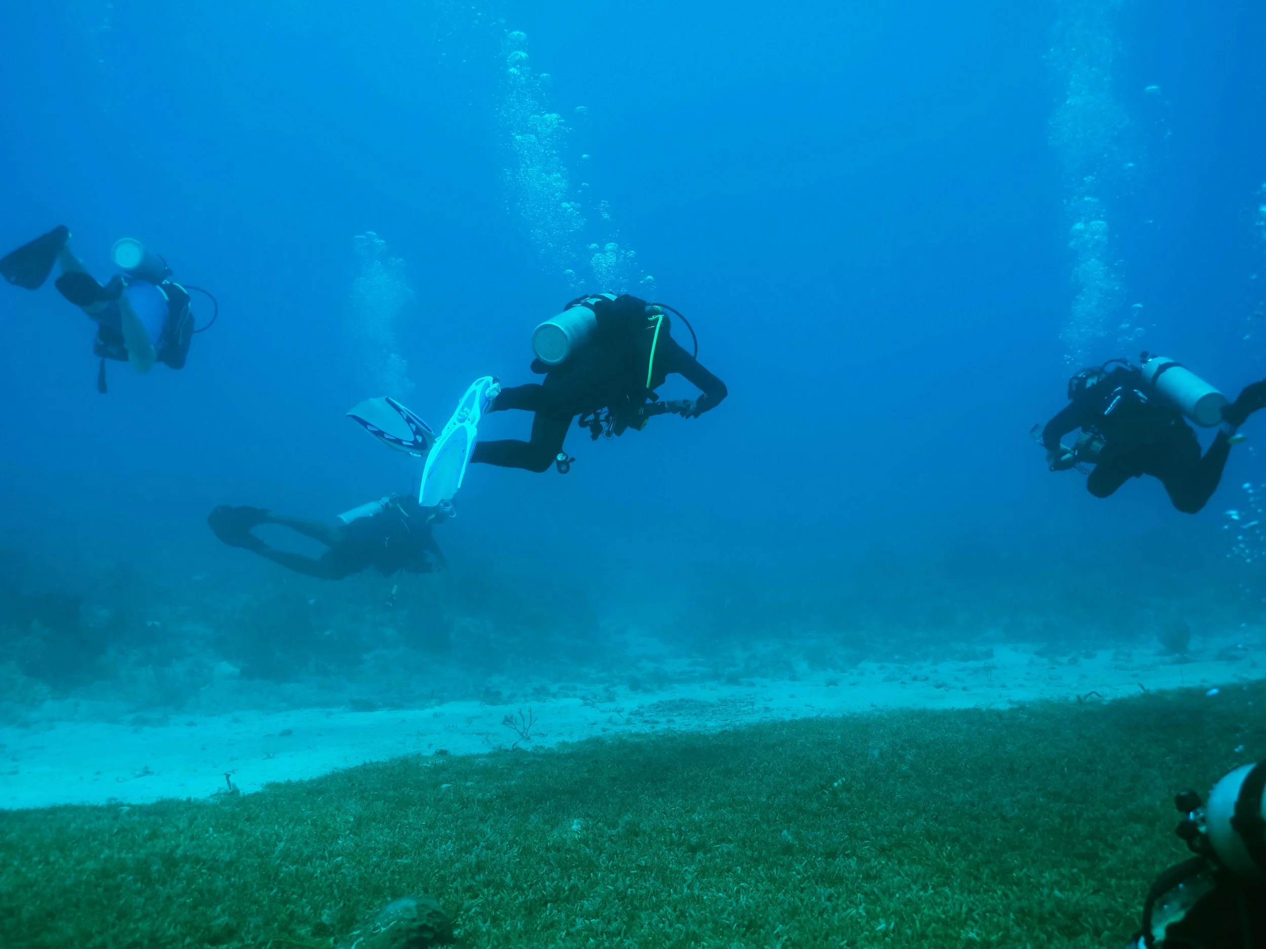 Group of four scuba divers swimming underwater in the ocean
