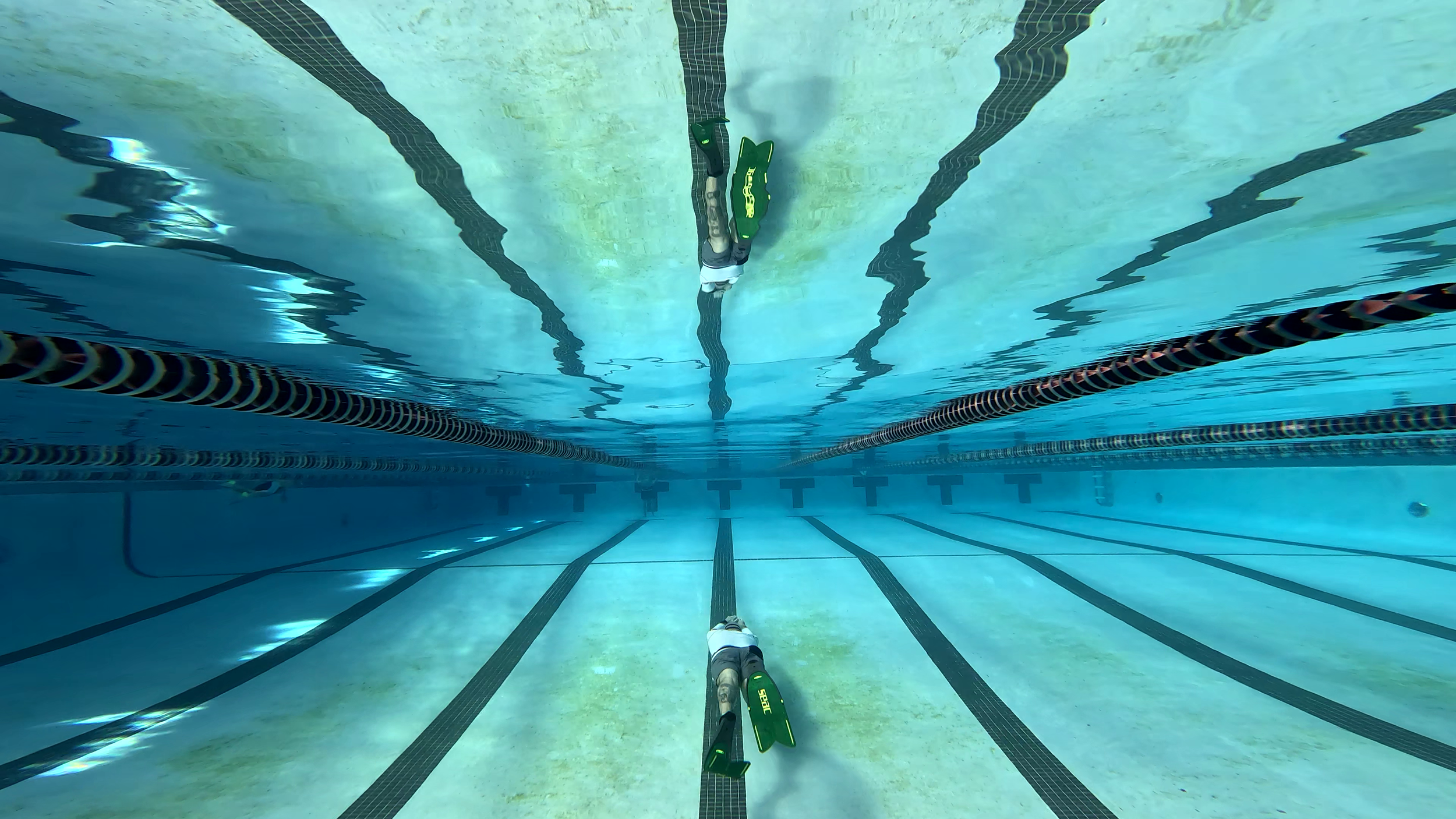 View of a swimming pool from underwater, with a freediver swimming along lane lines, wearing long fins.