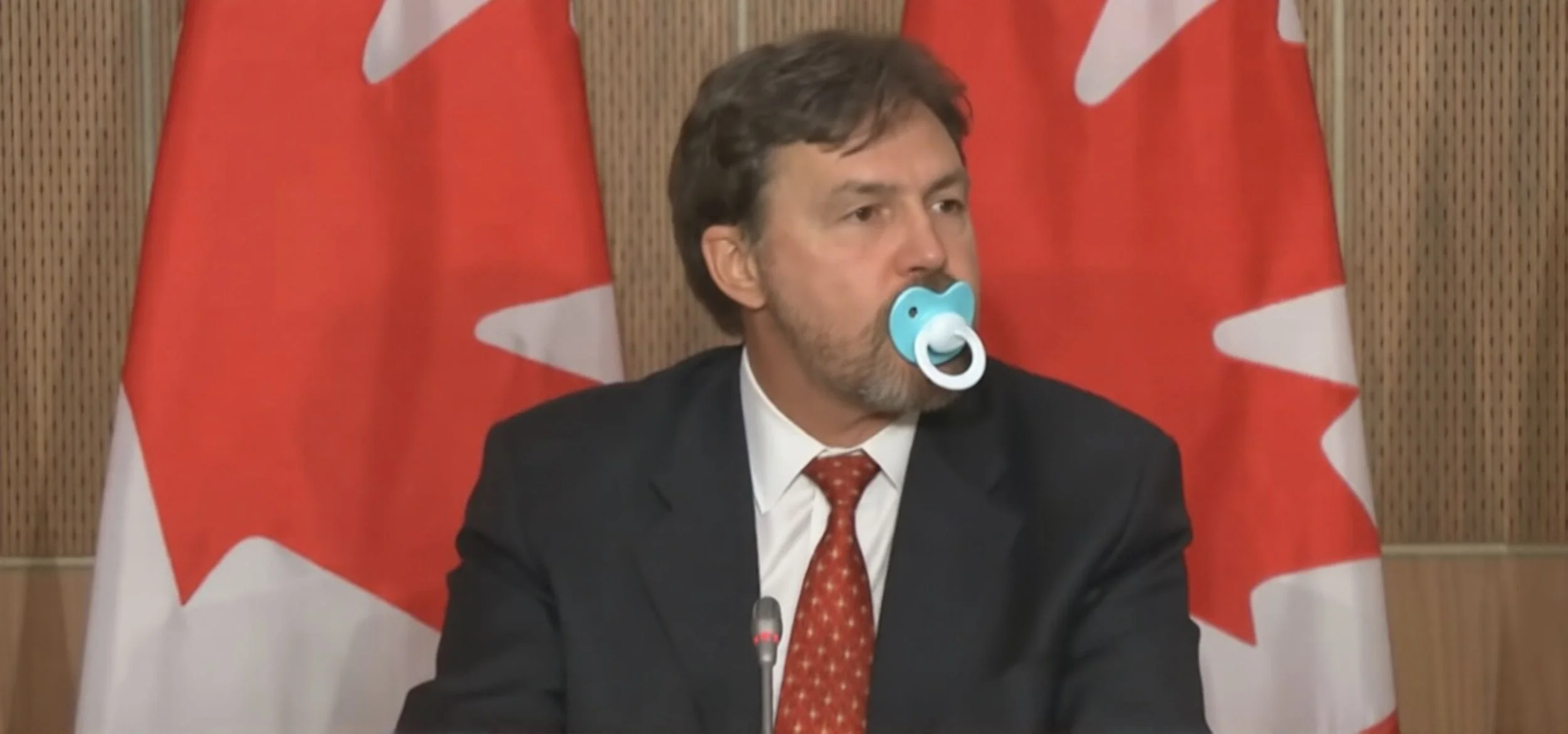 Richard Wagner Cour suprême du Canada