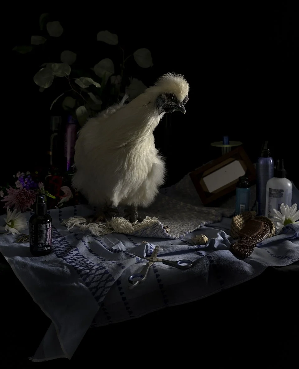 momento vivere phyllis.jpg