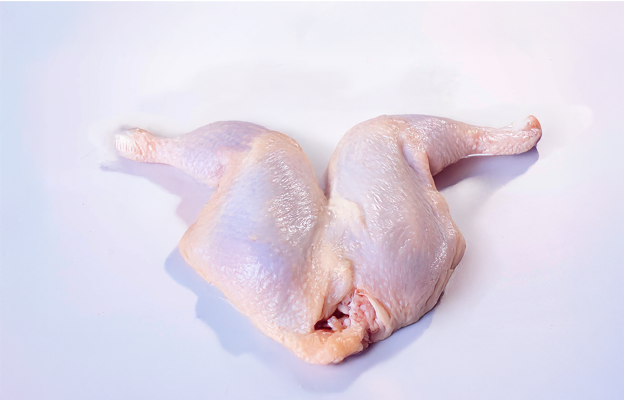 Wings small file.png