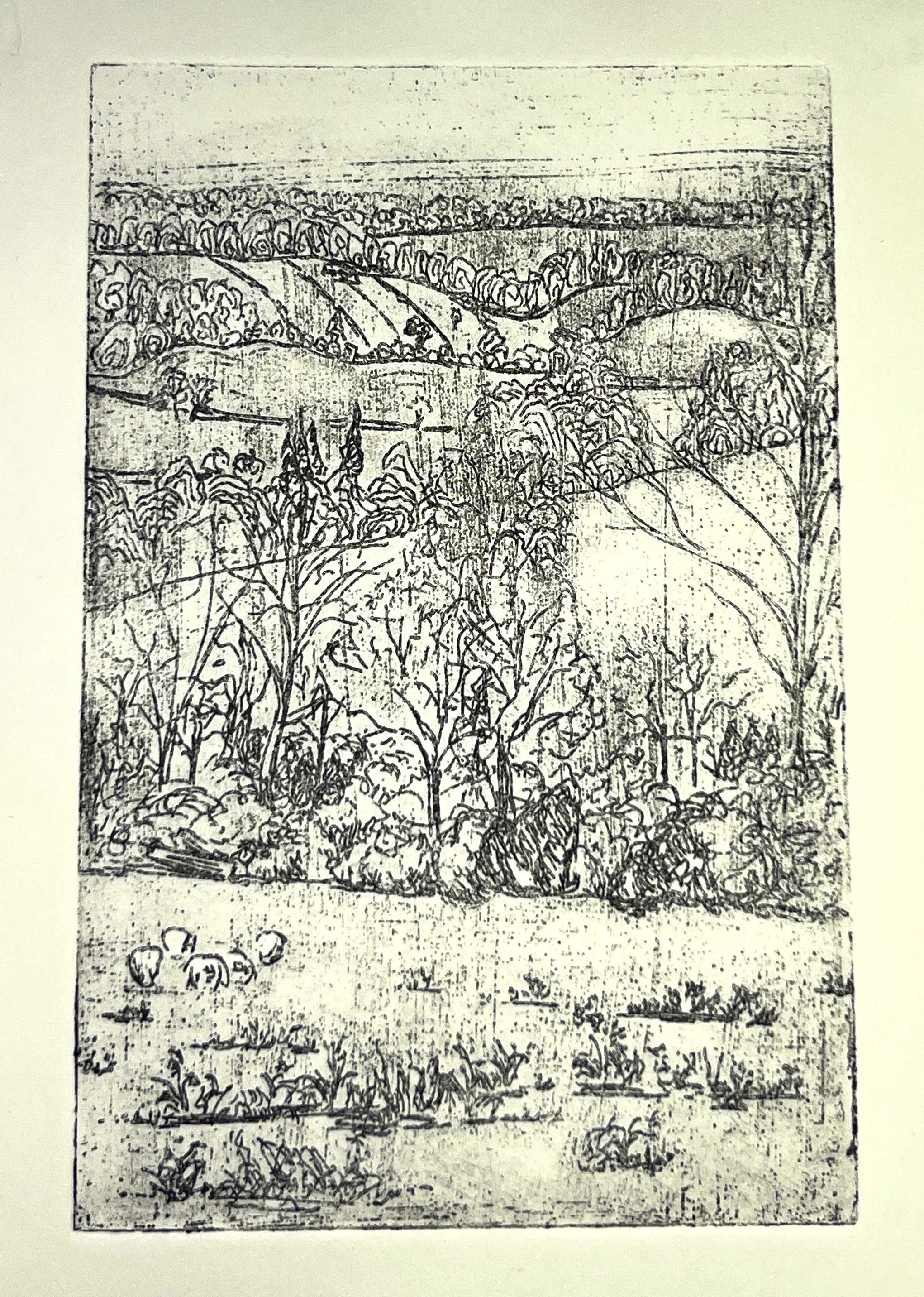"Cotswold portrait view"
Zinc plate etching from a photo by the artist. Black ink on warm white paper. 