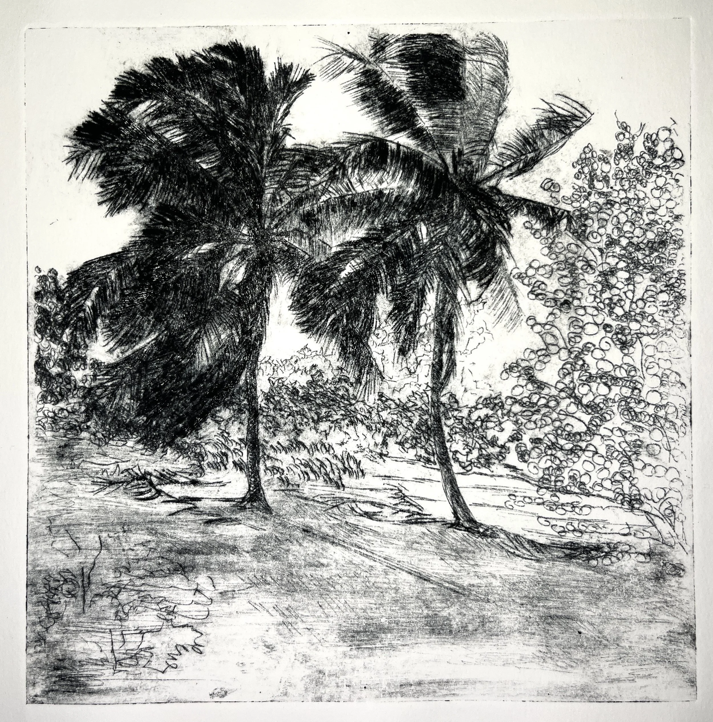 EXT.Palms.Drypoint.JPG