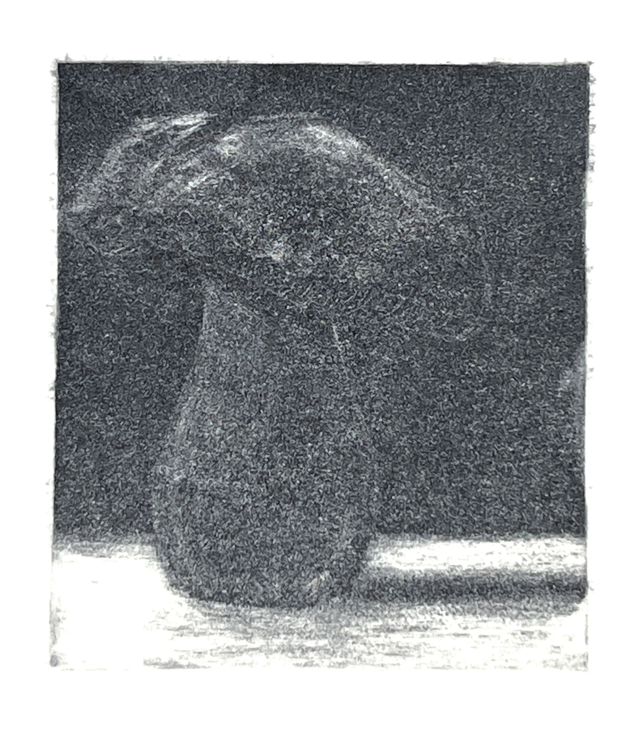"Mushroom"
Mezzotint black ink on white paper. 