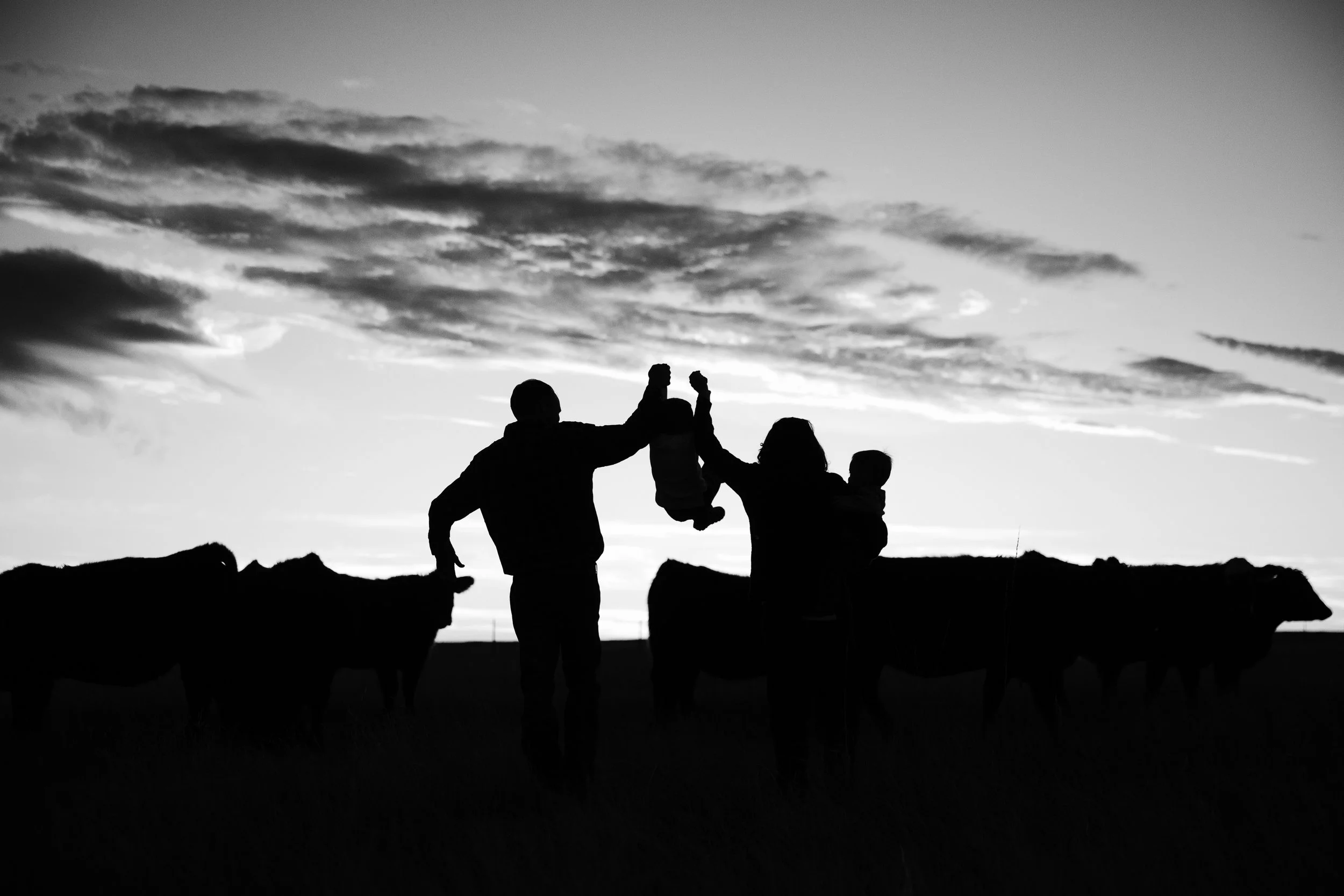 Silhouettes of a family of four, including a person lifting a child, standing on a rocky landscape during sunset or sunrise, with clouds in the sky.