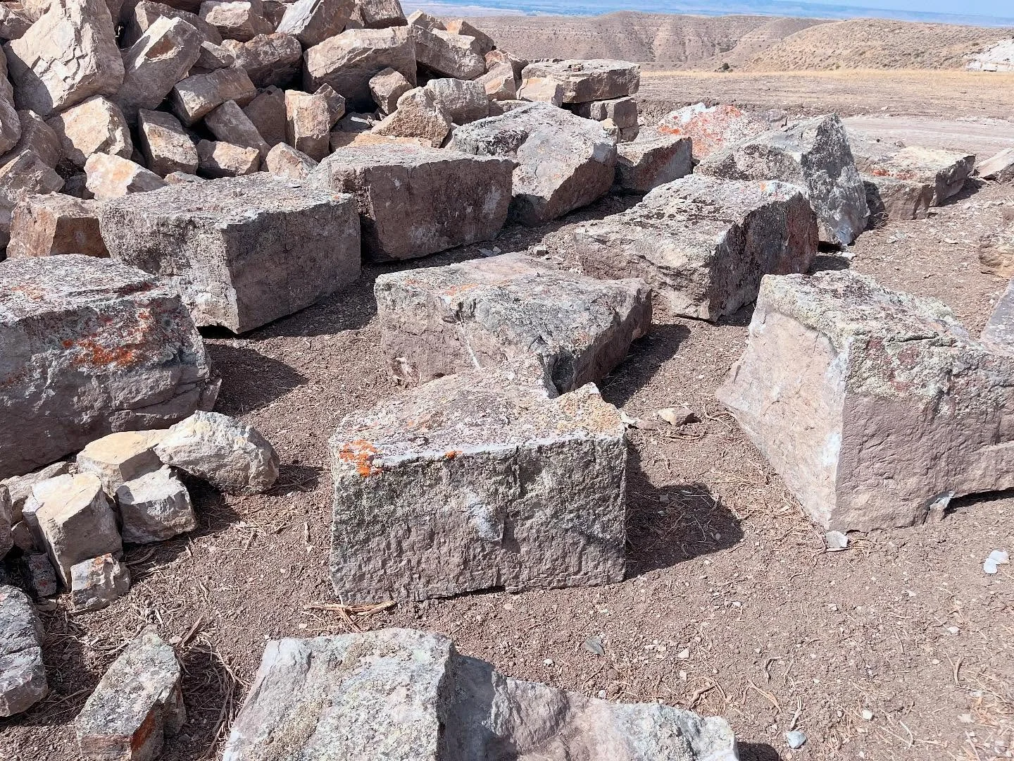 We have new Lichen rock available. These stones are literally alive! Unlike most quarried stone, these beautiful pieces have been lying exposed for hundreds, if not thousands of years in order to acquire these awesome mosses and lichens. 
.
.
#stone 