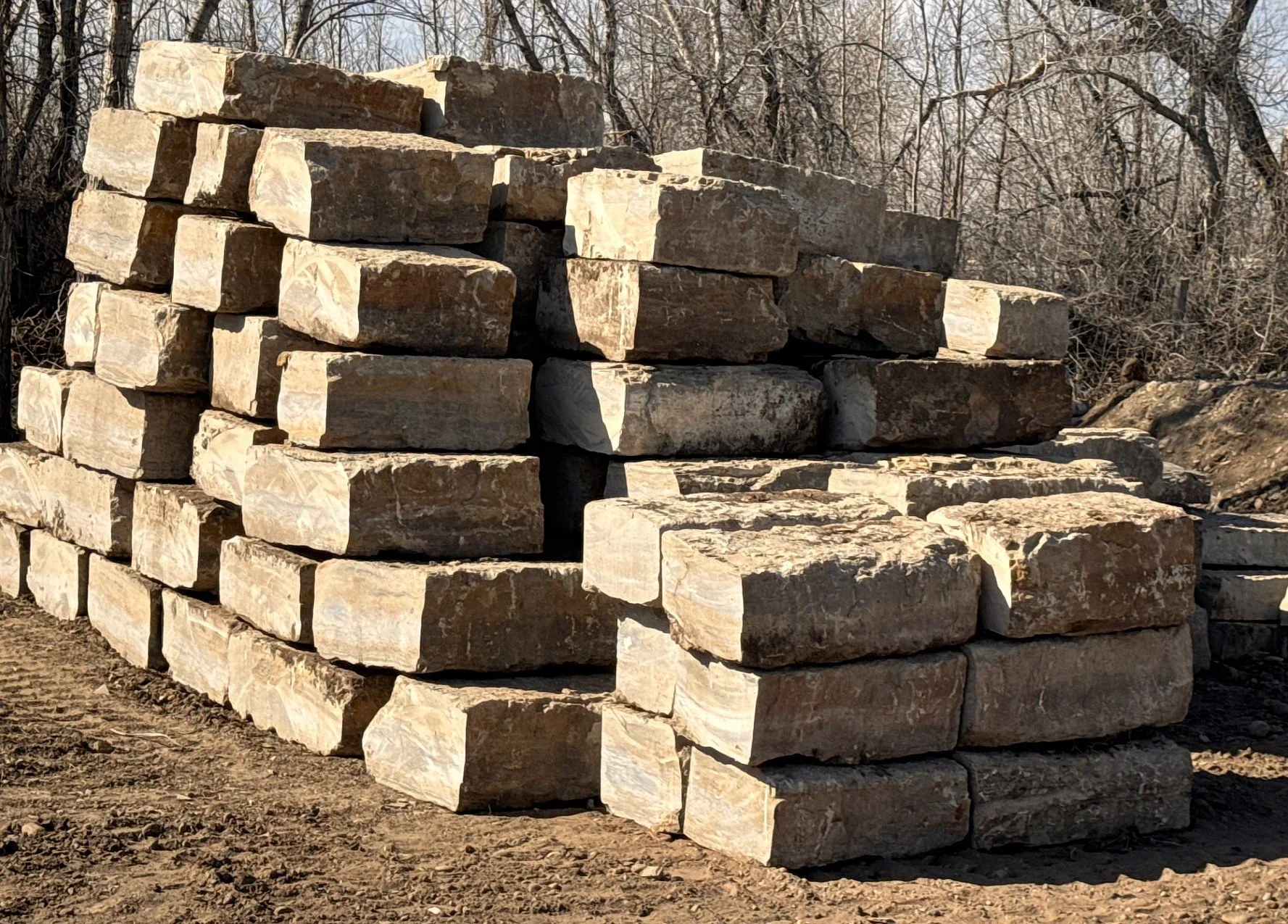 april sawn5.jpg