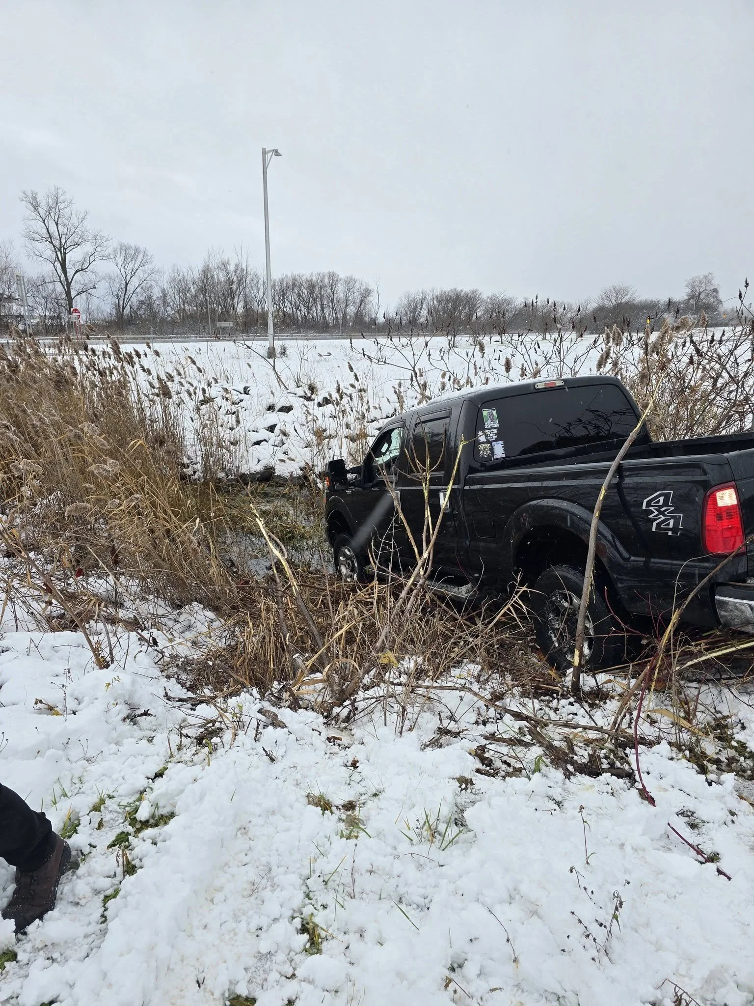 A black pickup truck has crashed into snow-covered brush on the side of a road in a winter landscape.