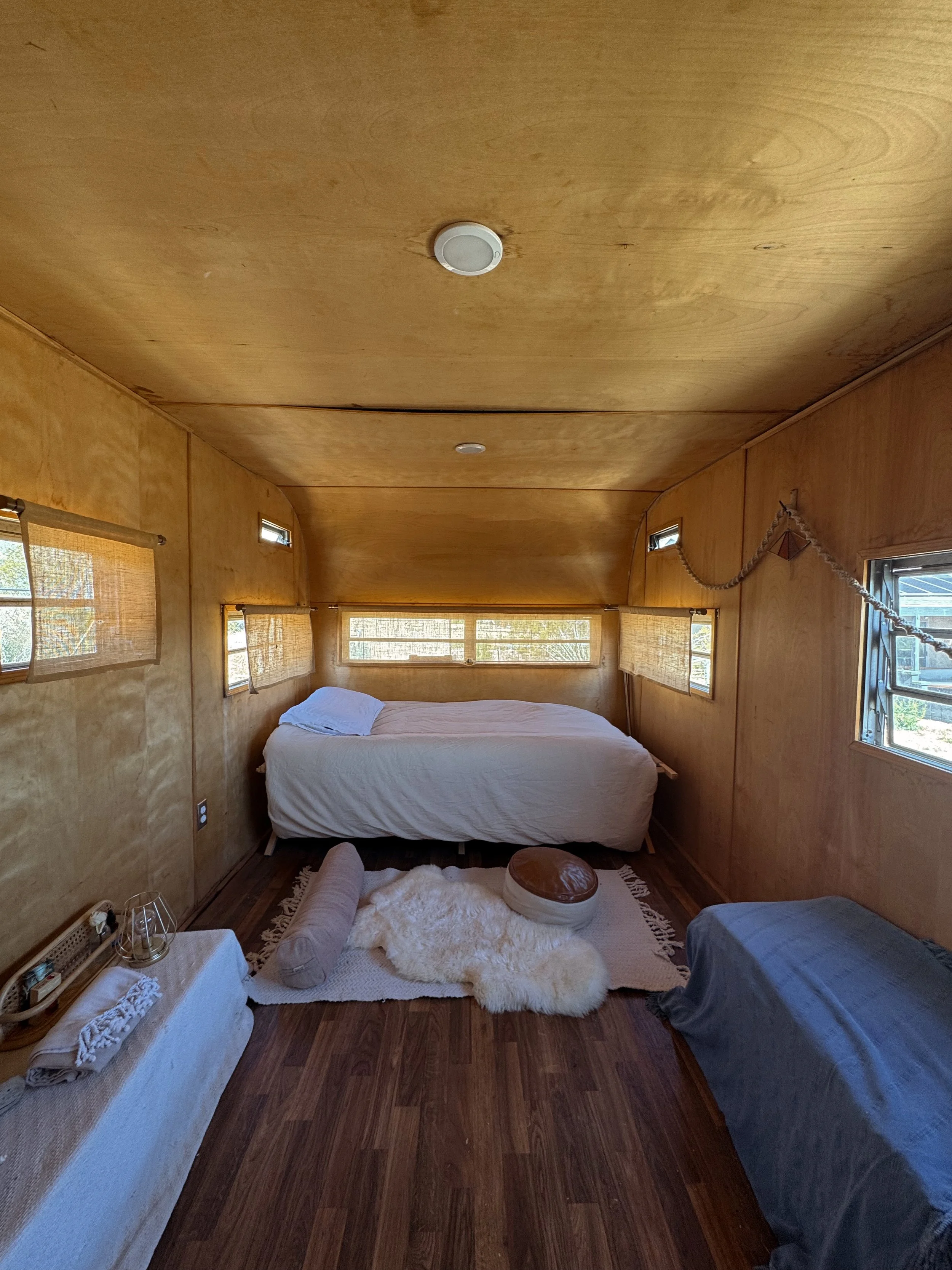 Tezza-2337.JPG (Copy)