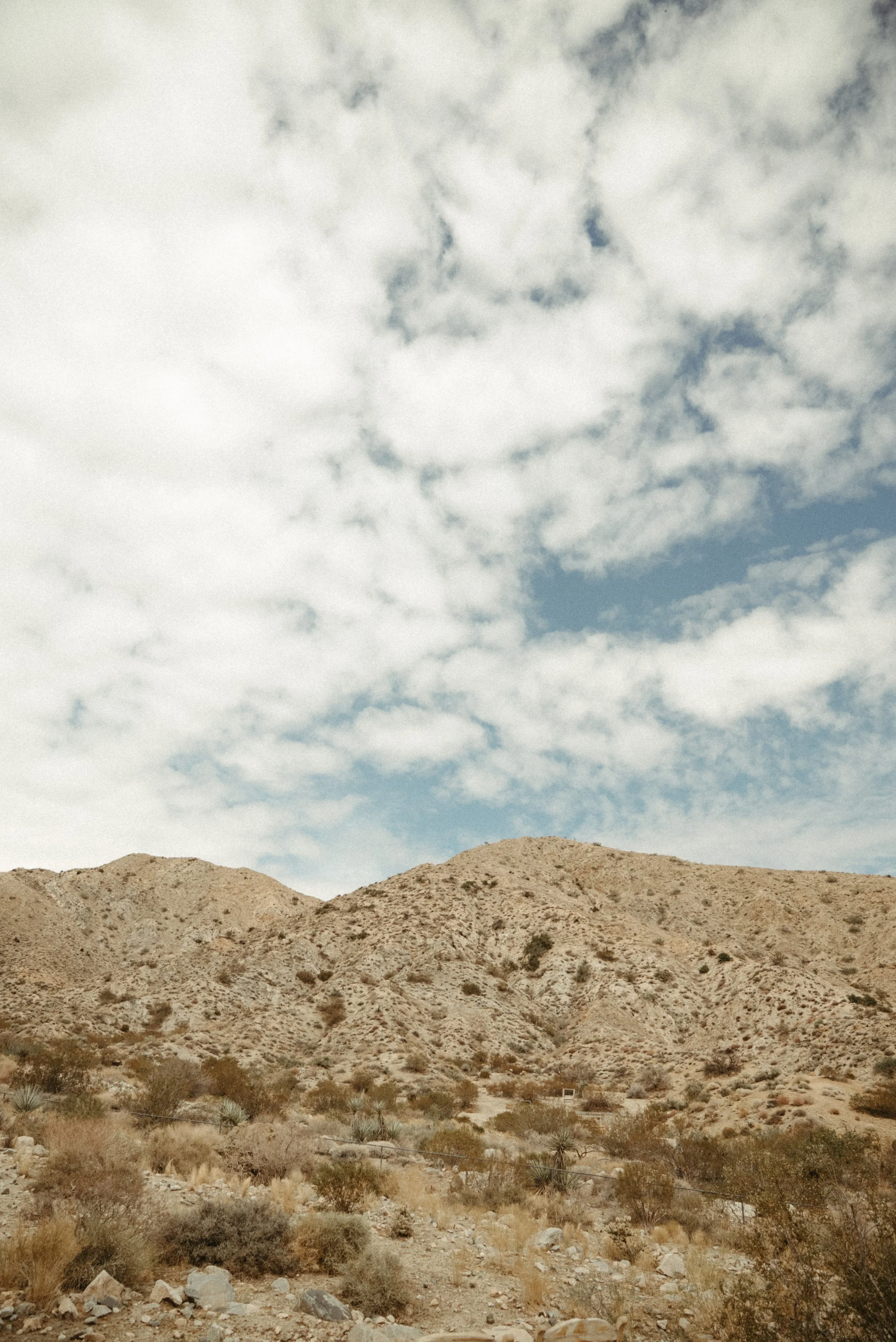 24 Hour Guest Ranch Stay