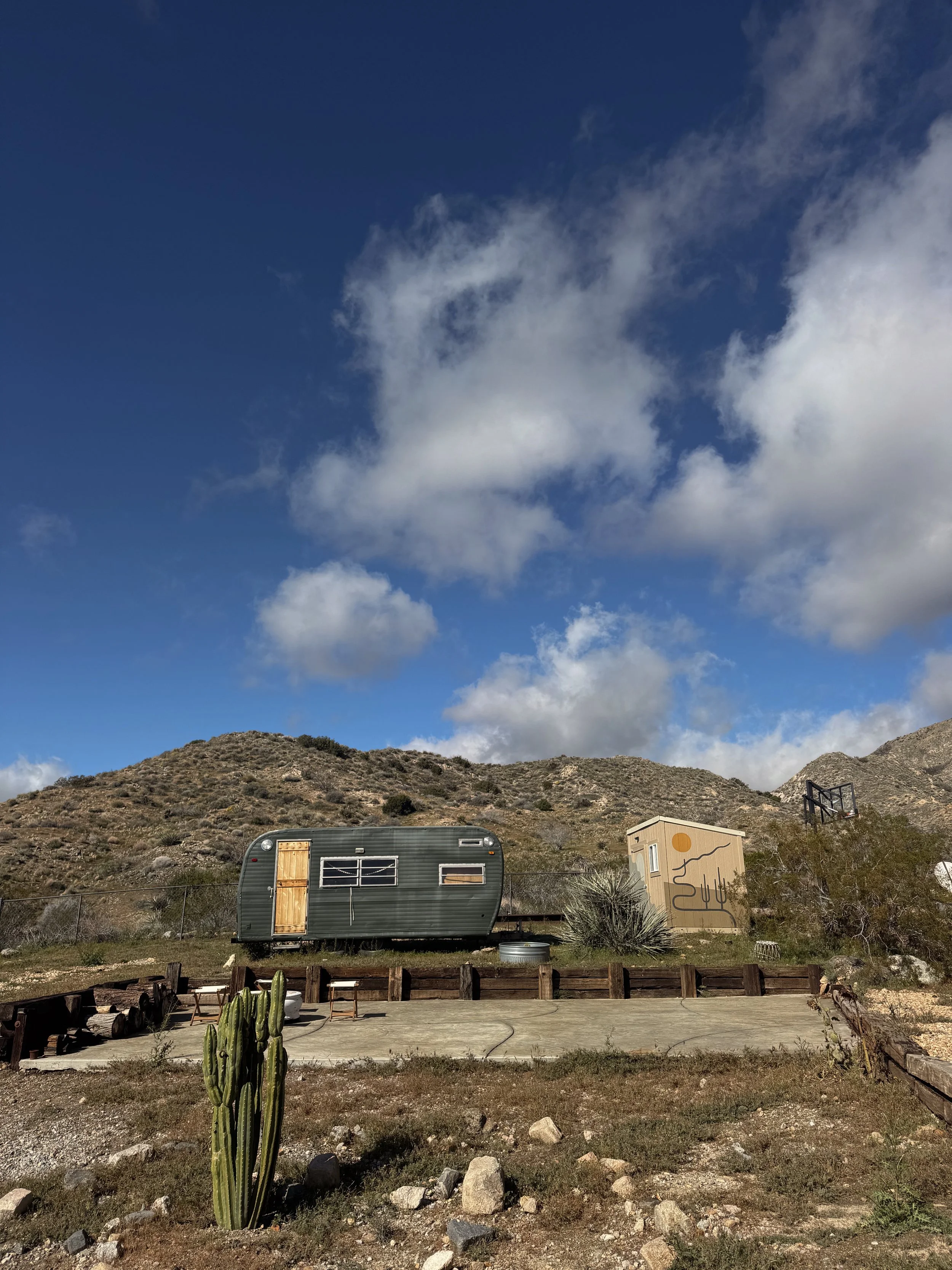 Tezza-6602.JPG (Copy)