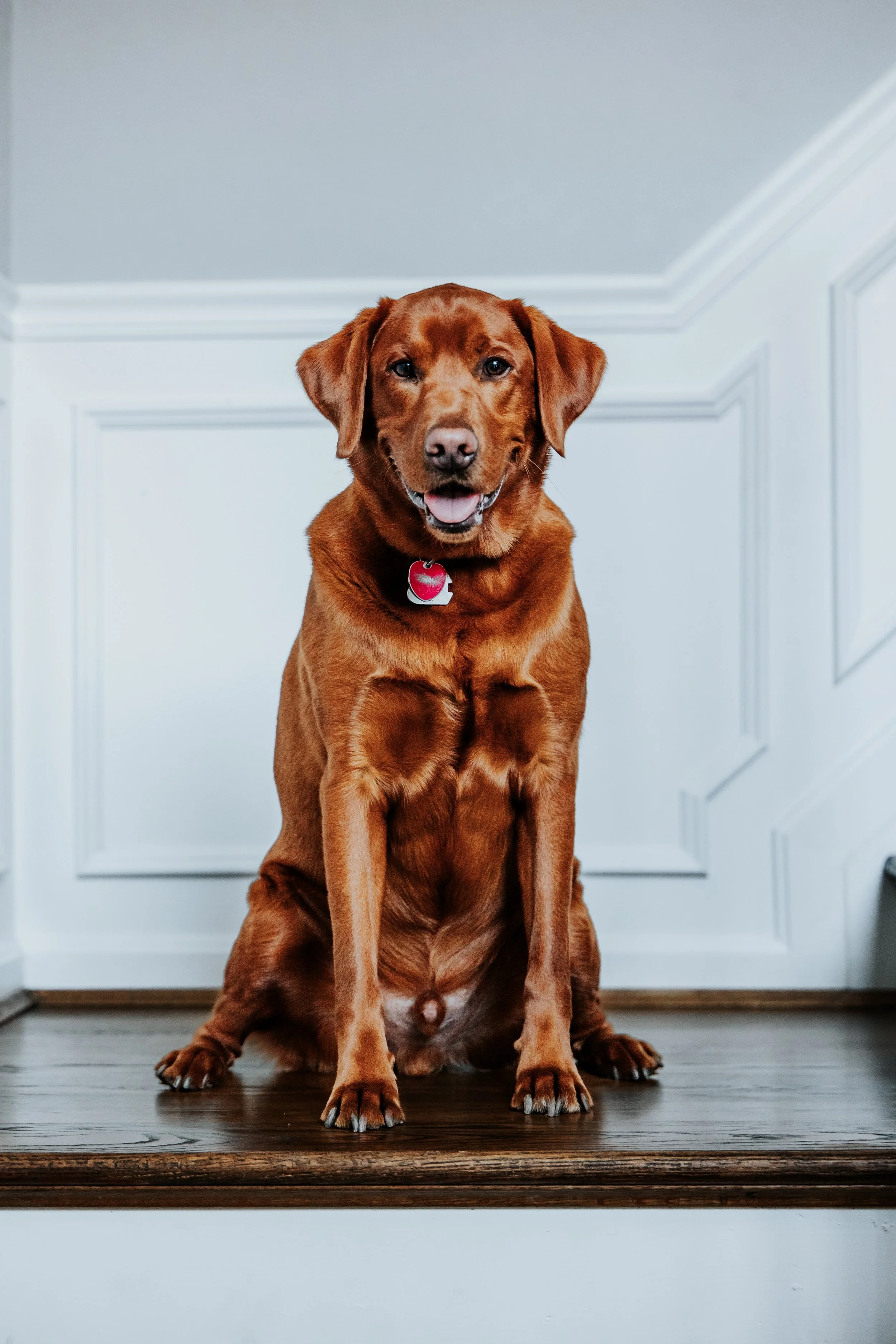 JASON & REBECCA-34.jpg