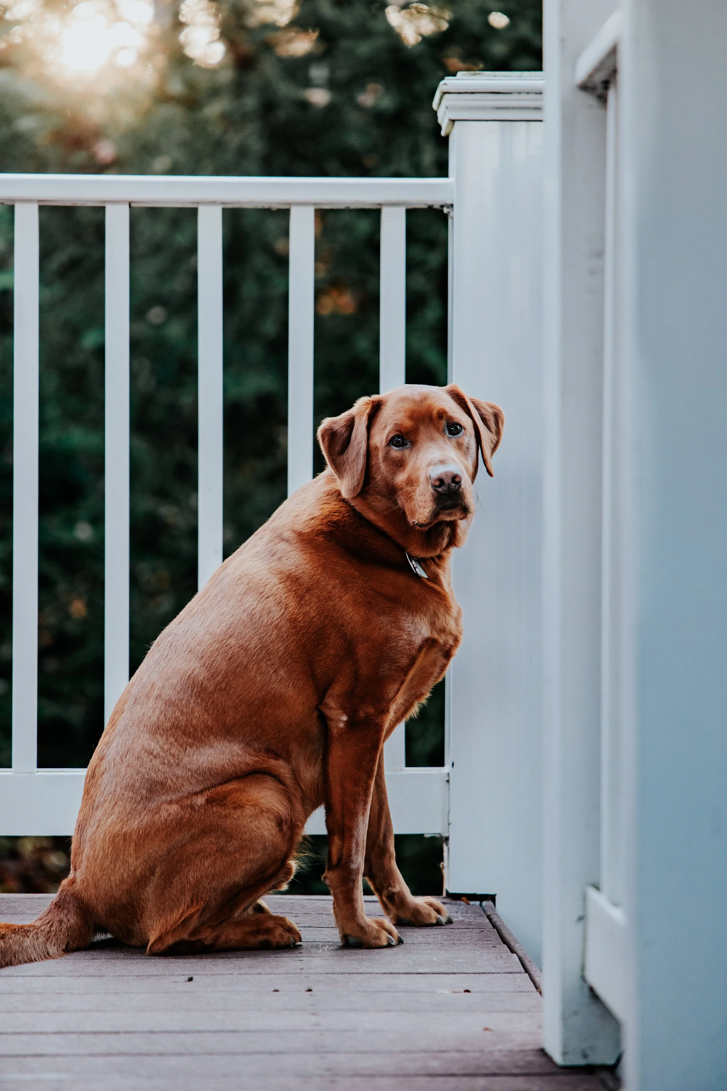 JASON & REBECCA-65.jpg