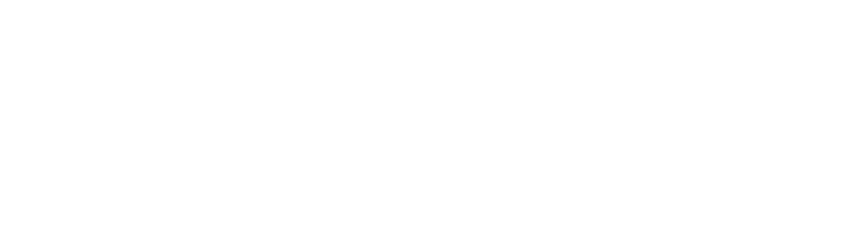 Disrupshion