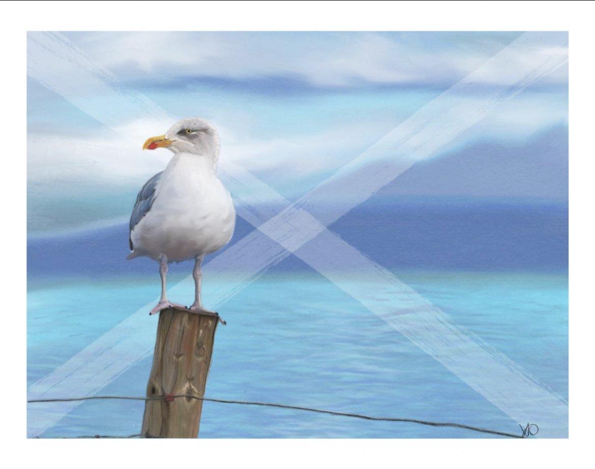 IMG_9494.PNG