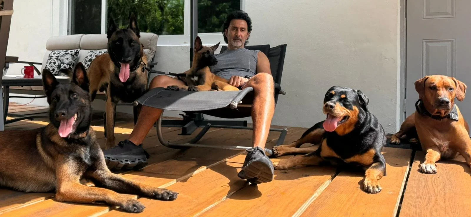 WhatsApp Image 2026-01-28 at 20.02.49.jpeg