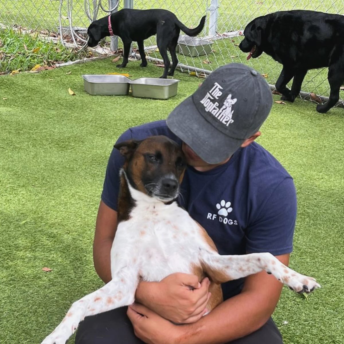 Your dog is in good hands 🤍🤍🤍