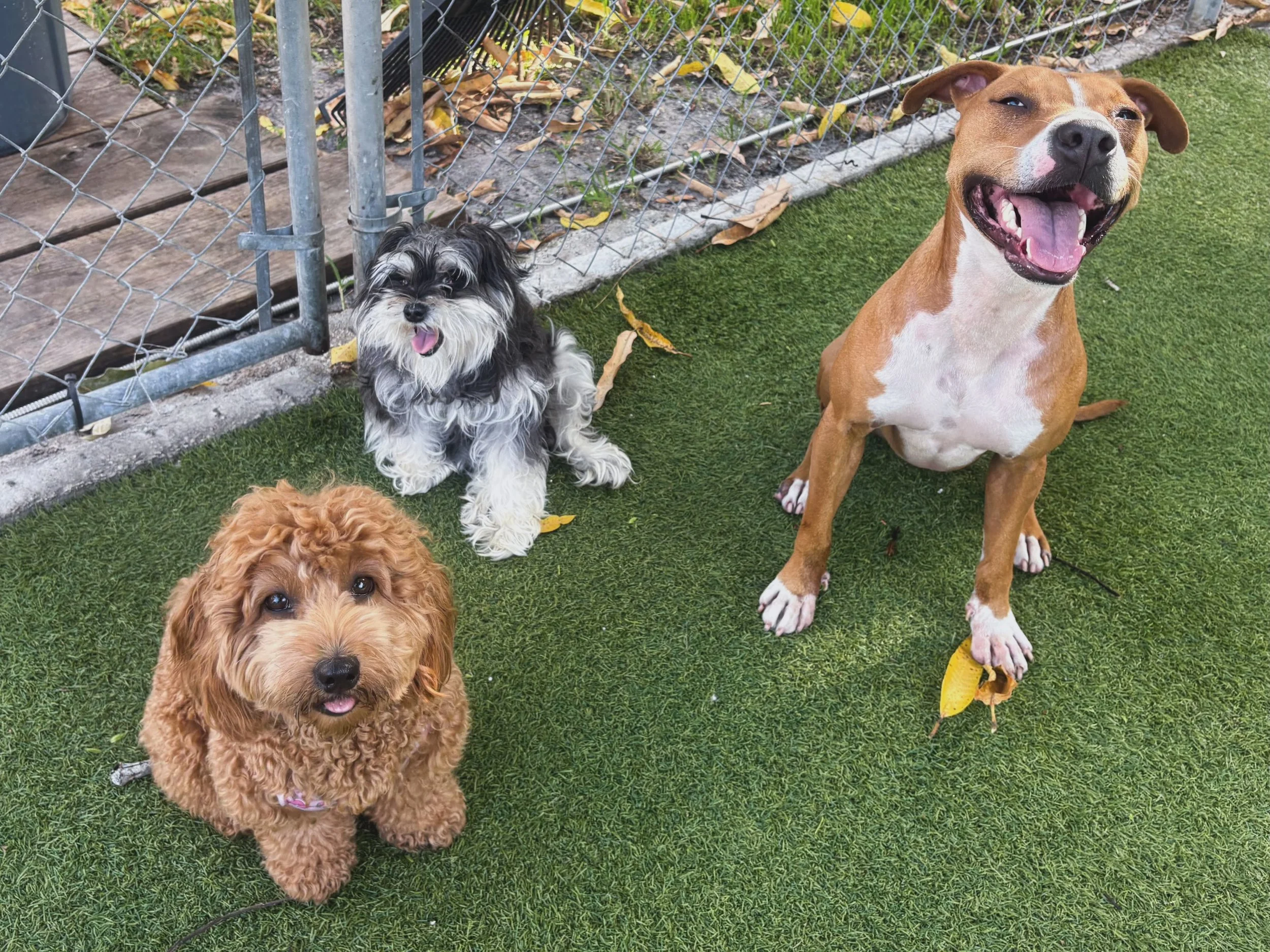Lana, Mala, and Nala 🙈&hearts;️