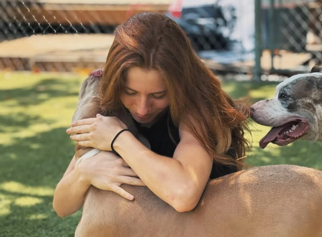 At RF DOGS, we are a team of four. We do not have a large, rotating staff. The dogs here spend their days with the same people who know them. Each one of us has professional training and experience working with animals. Although we each bring somethi