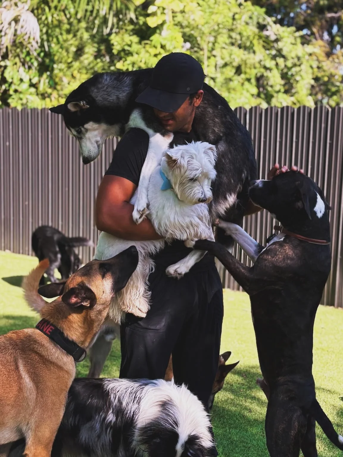 At RF DOGS, we are intentionally a small team. Every dog in our care is known personally by Ricardo, Emily, Amaia, and Jesus, and that continuity is an important part of what makes our approach different🤍

Meet Jesus🤎

Jesus is kind, patient, and h