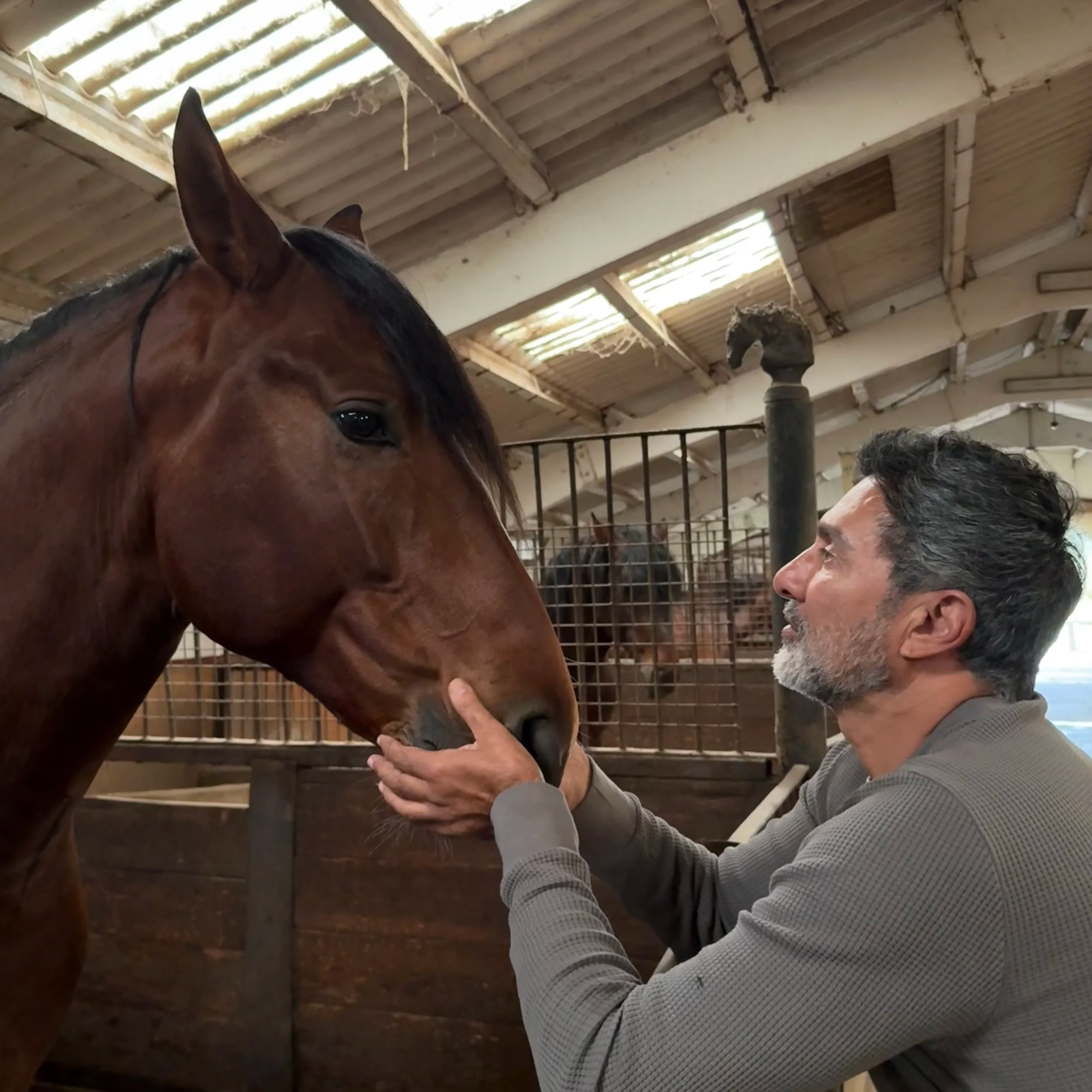 Ricardo Felgueres - Founder and Head Trainer