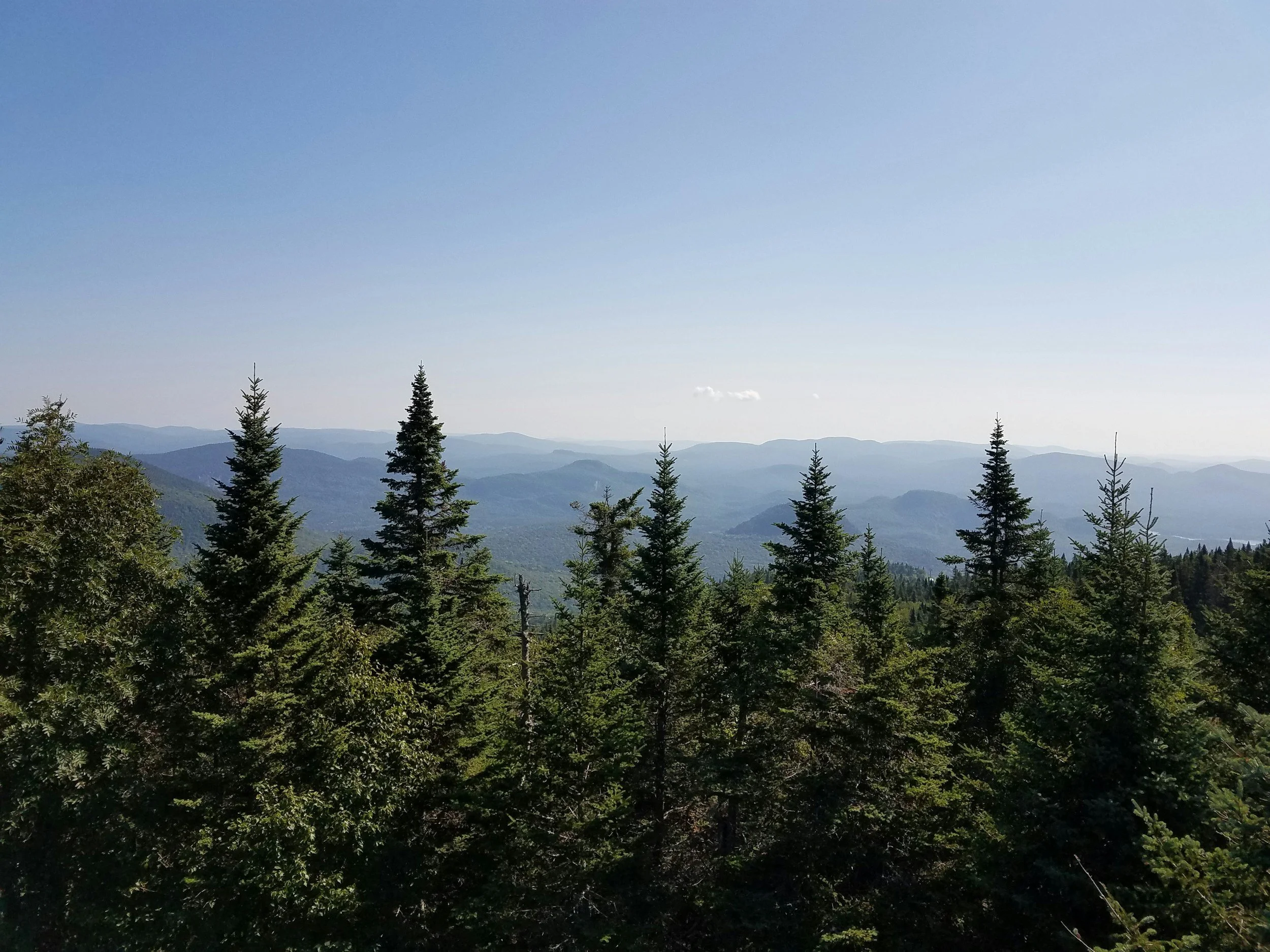 A scenic mountain landscape with a clear blue sky, multiple layers of distant mountain ridges, and a dense forest of evergreen trees in the foreground.
