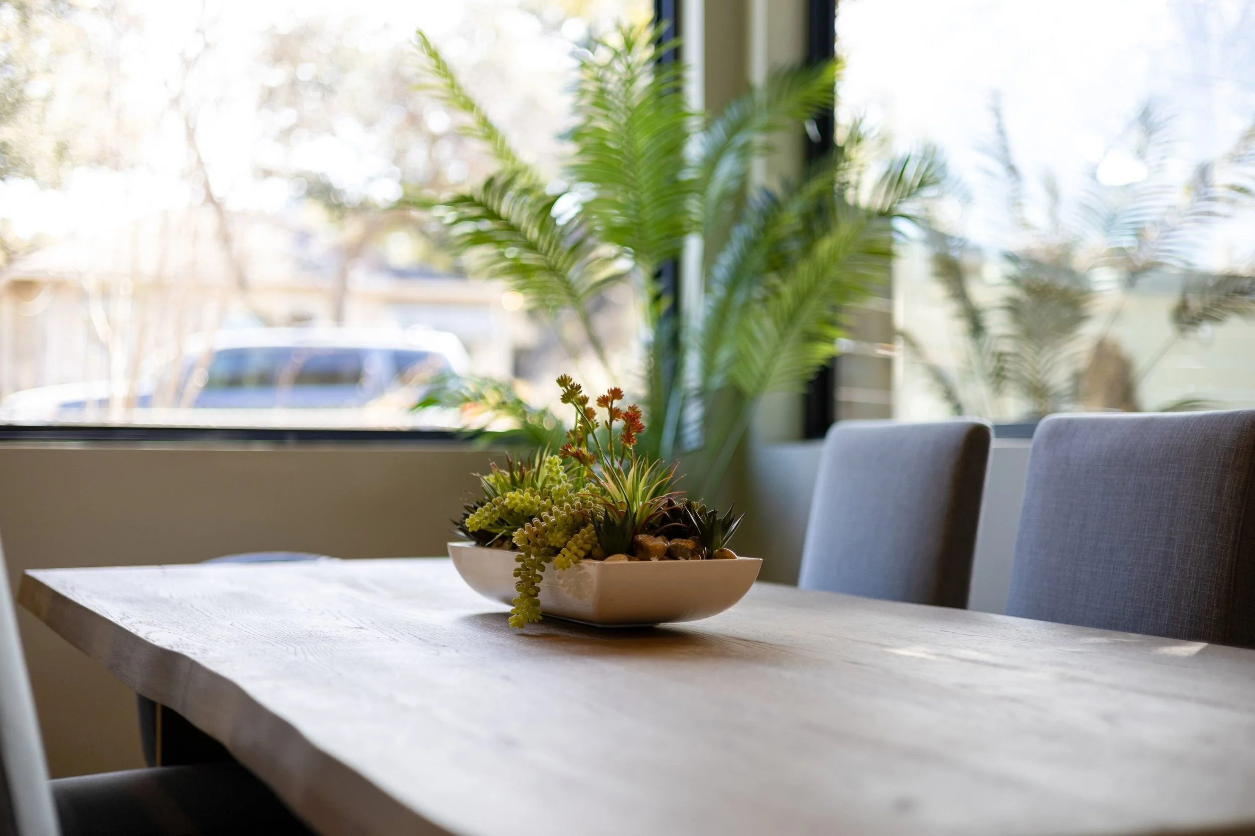 Indoor scene with a wooden table and a bowl of assorted succulents, large green plants in the background near a window, natural sunlight