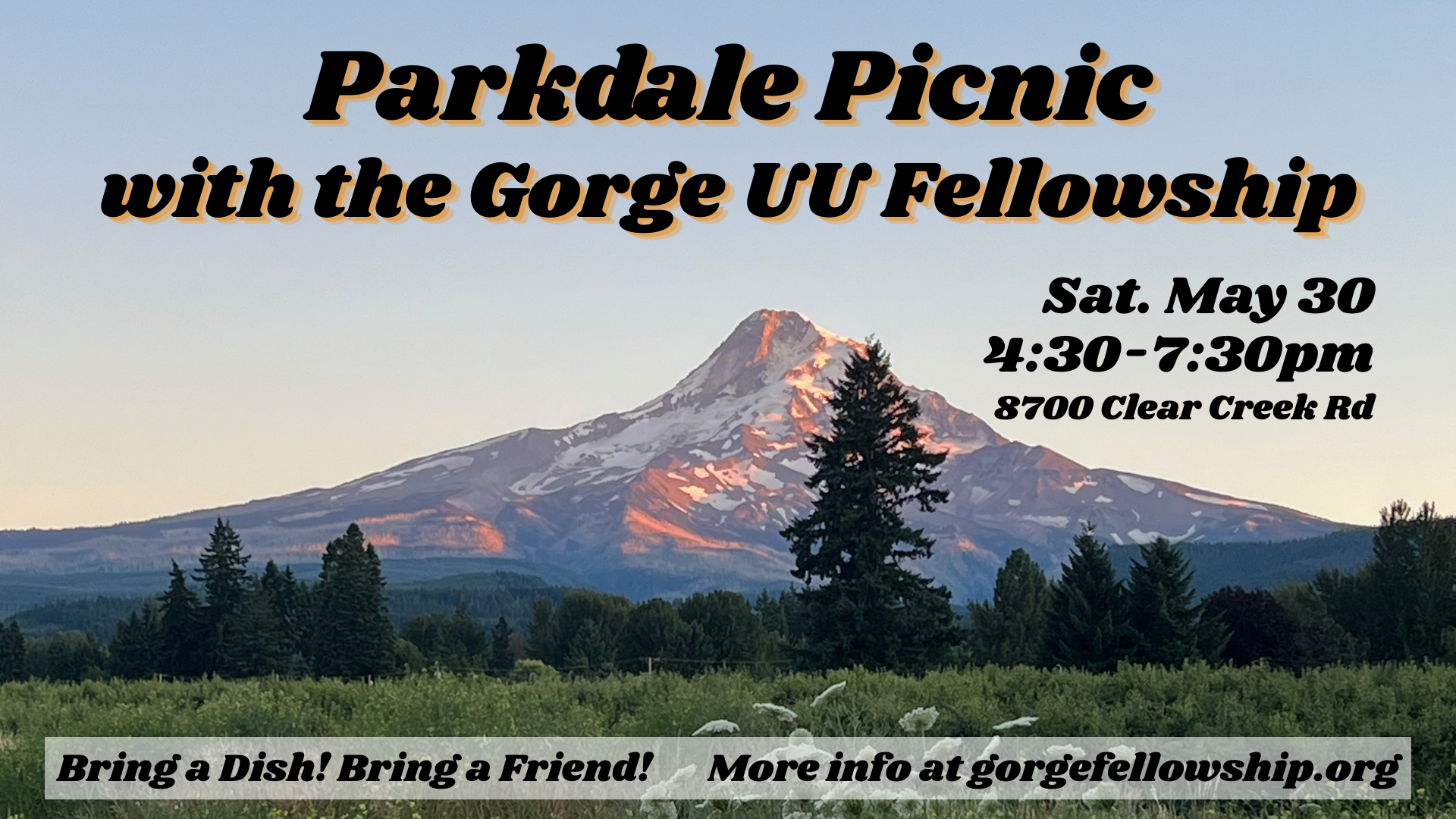 Parkdale Potluck Picnic
