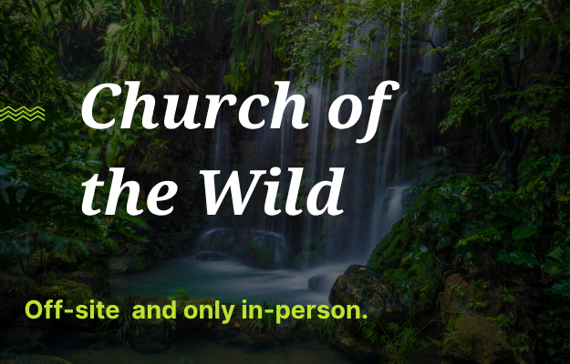 Church of the Wild