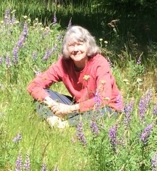 An elderly woman with gray hair sitting in a field of purple flowers near a pond, smiling.