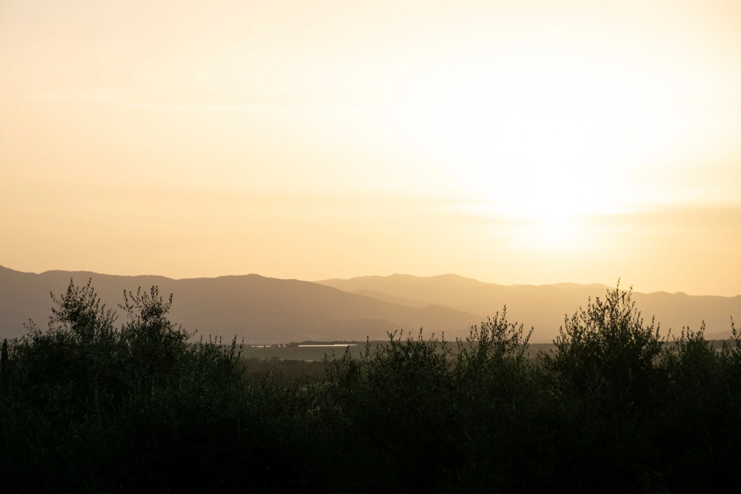 DSCF6965.jpg