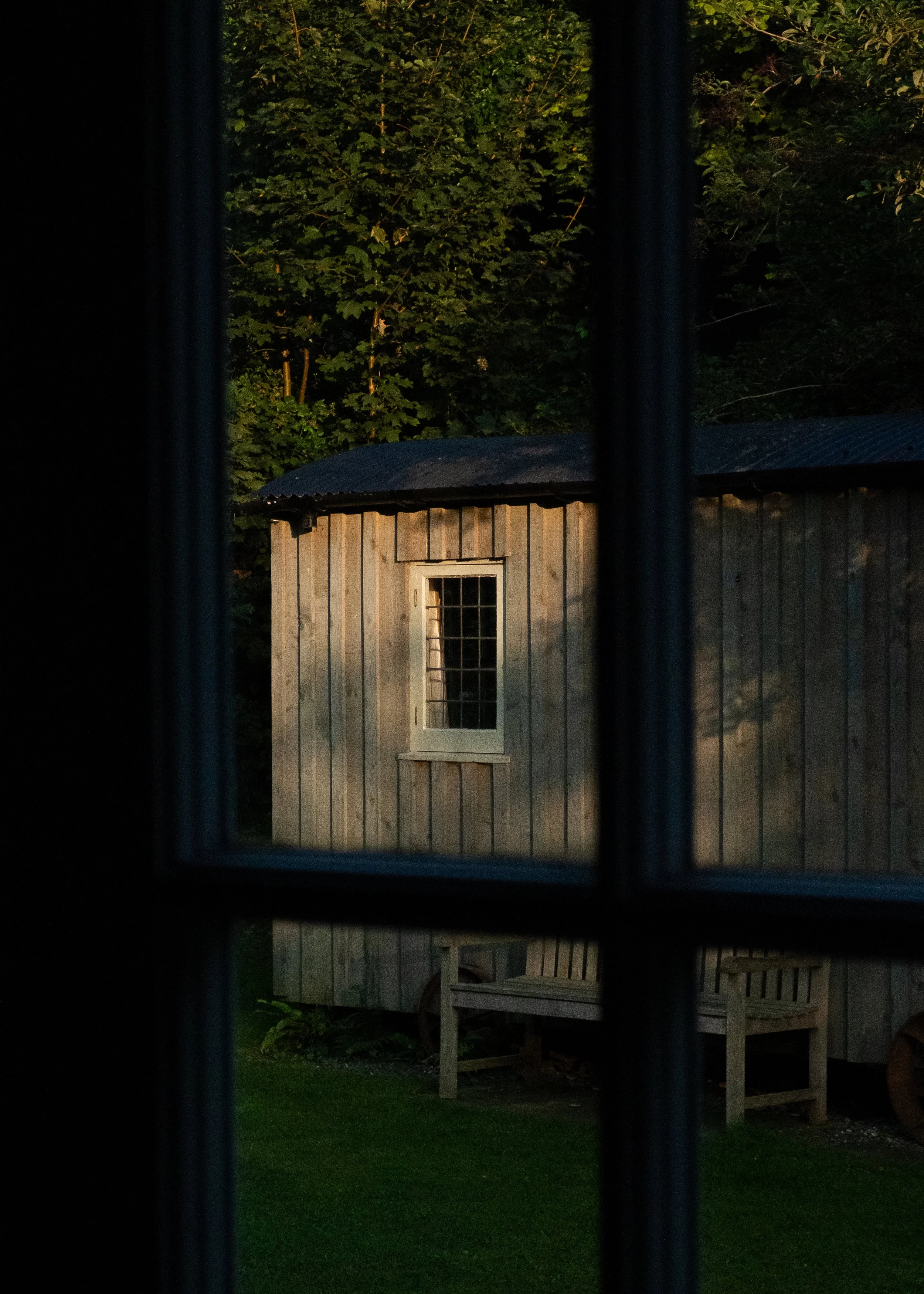 DSCF8446.jpg