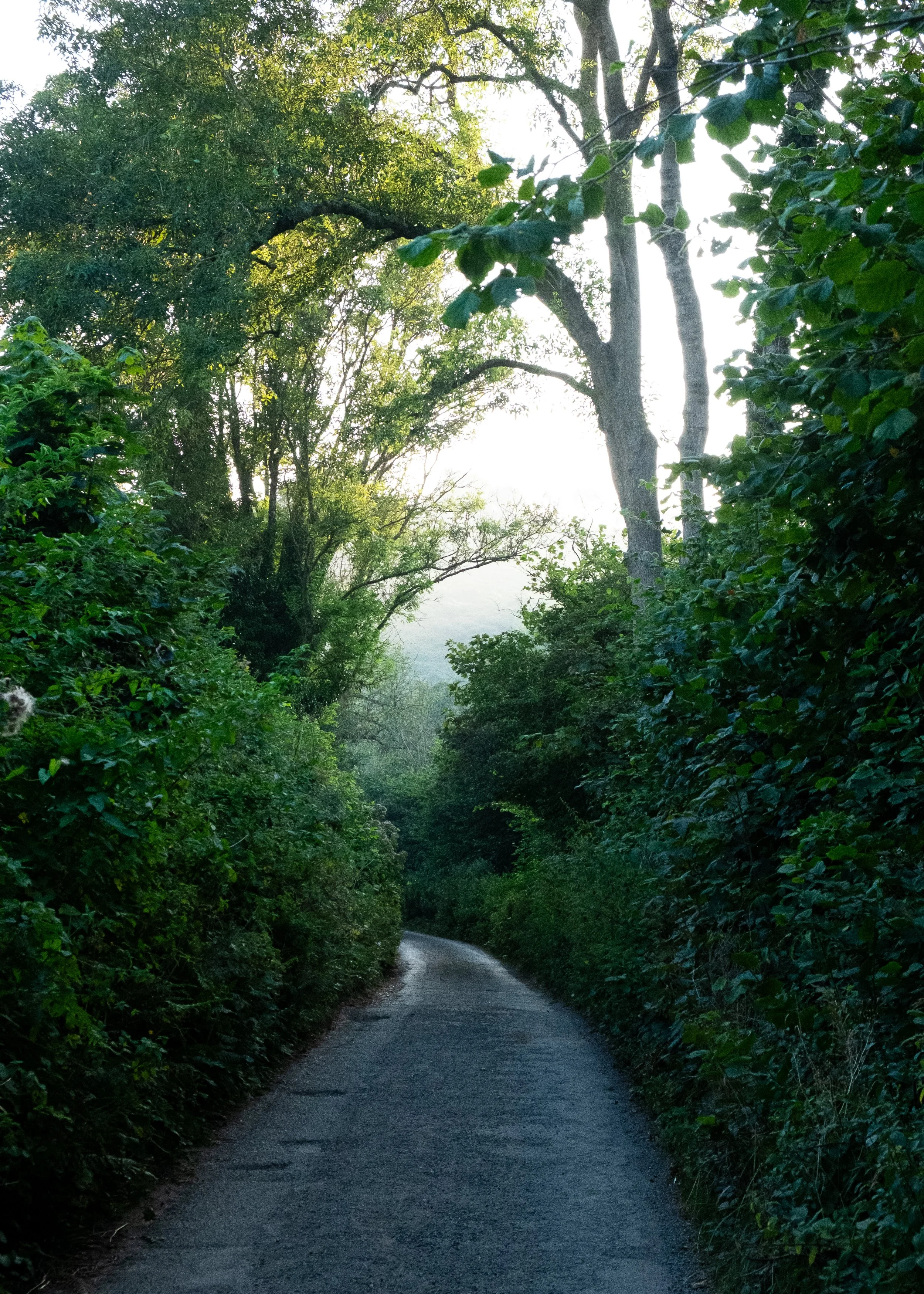 DSCF8438.jpg