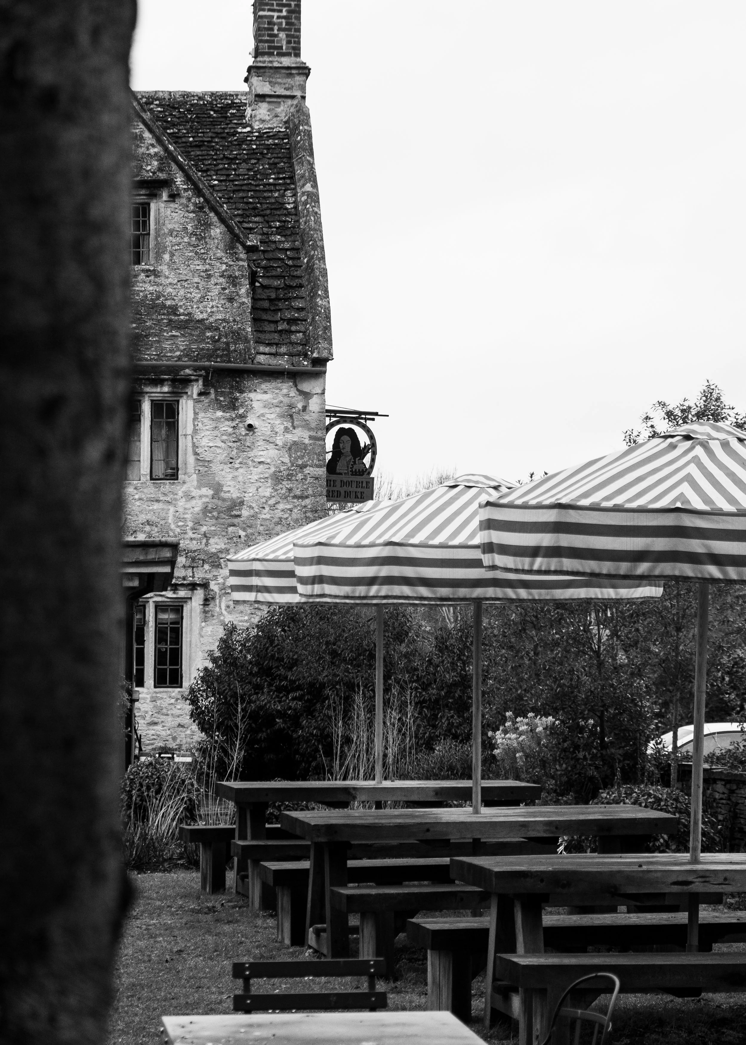 DSCF2166.jpg