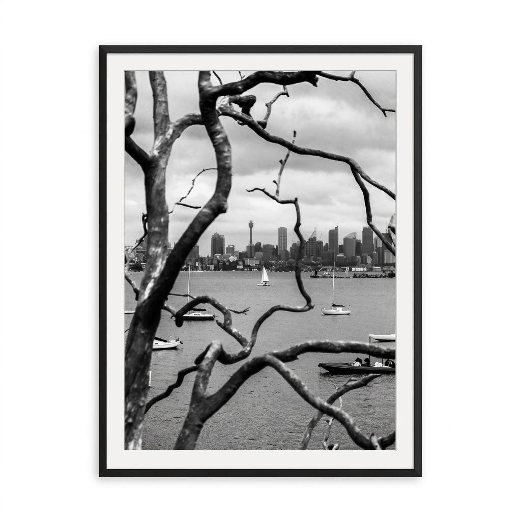 Branches