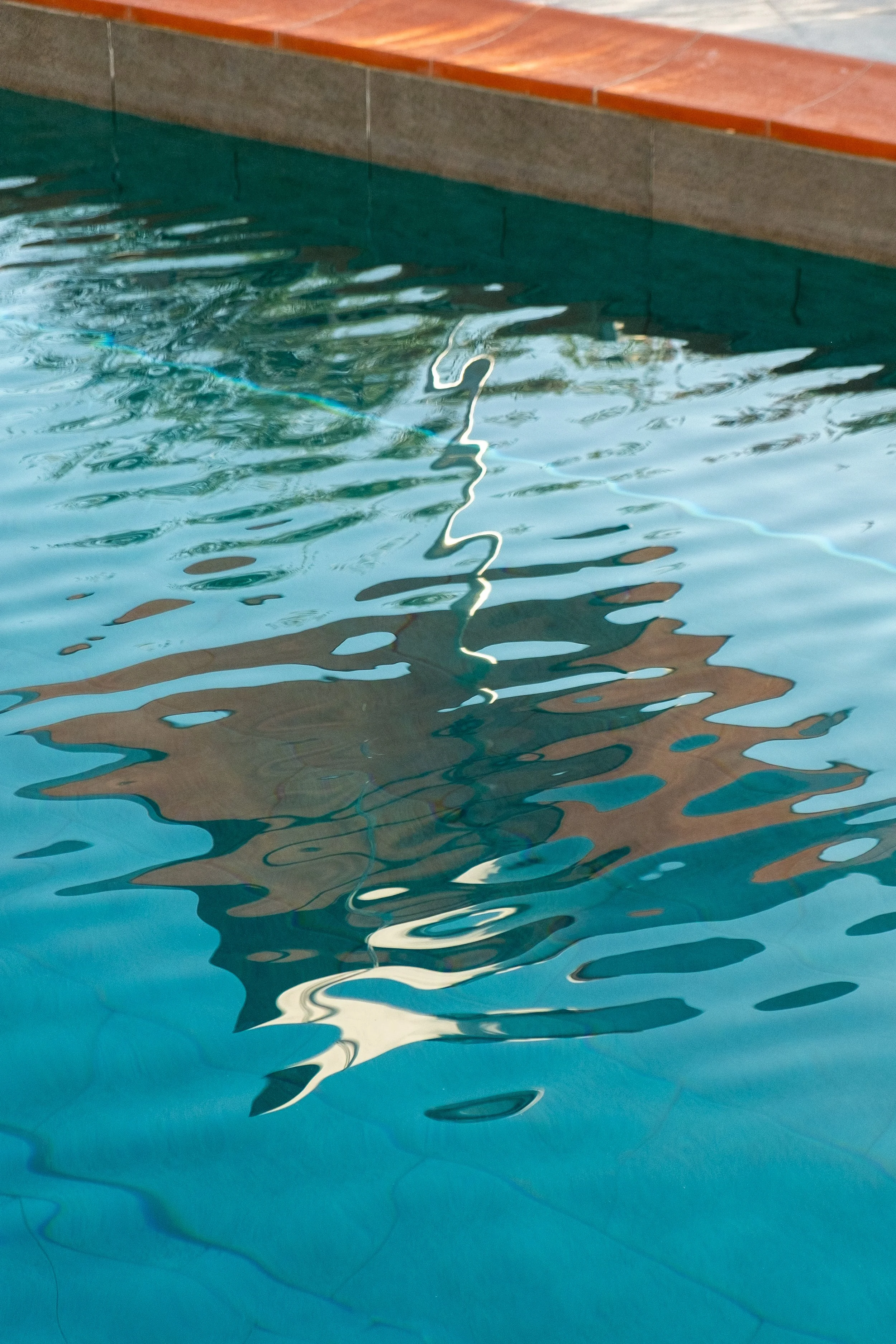DSCF6376.jpg