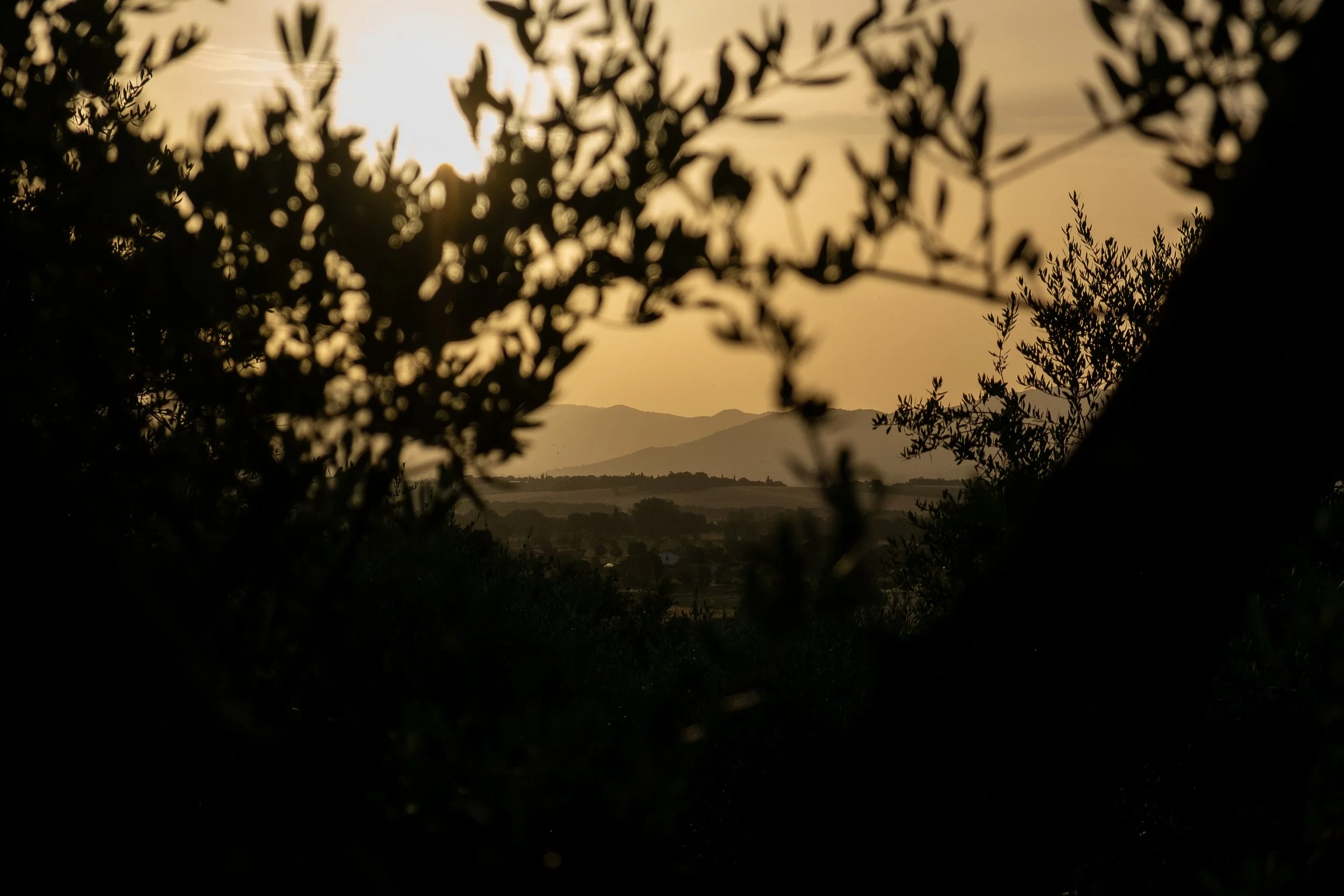 DSCF7015.jpg