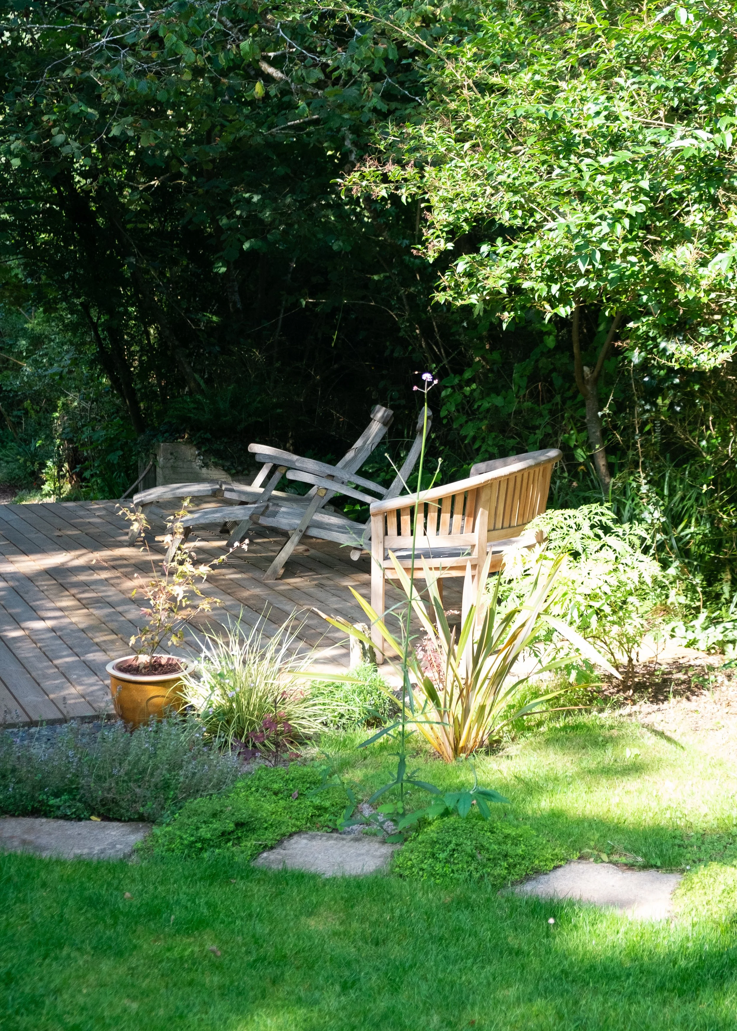 DSCF8987.jpg