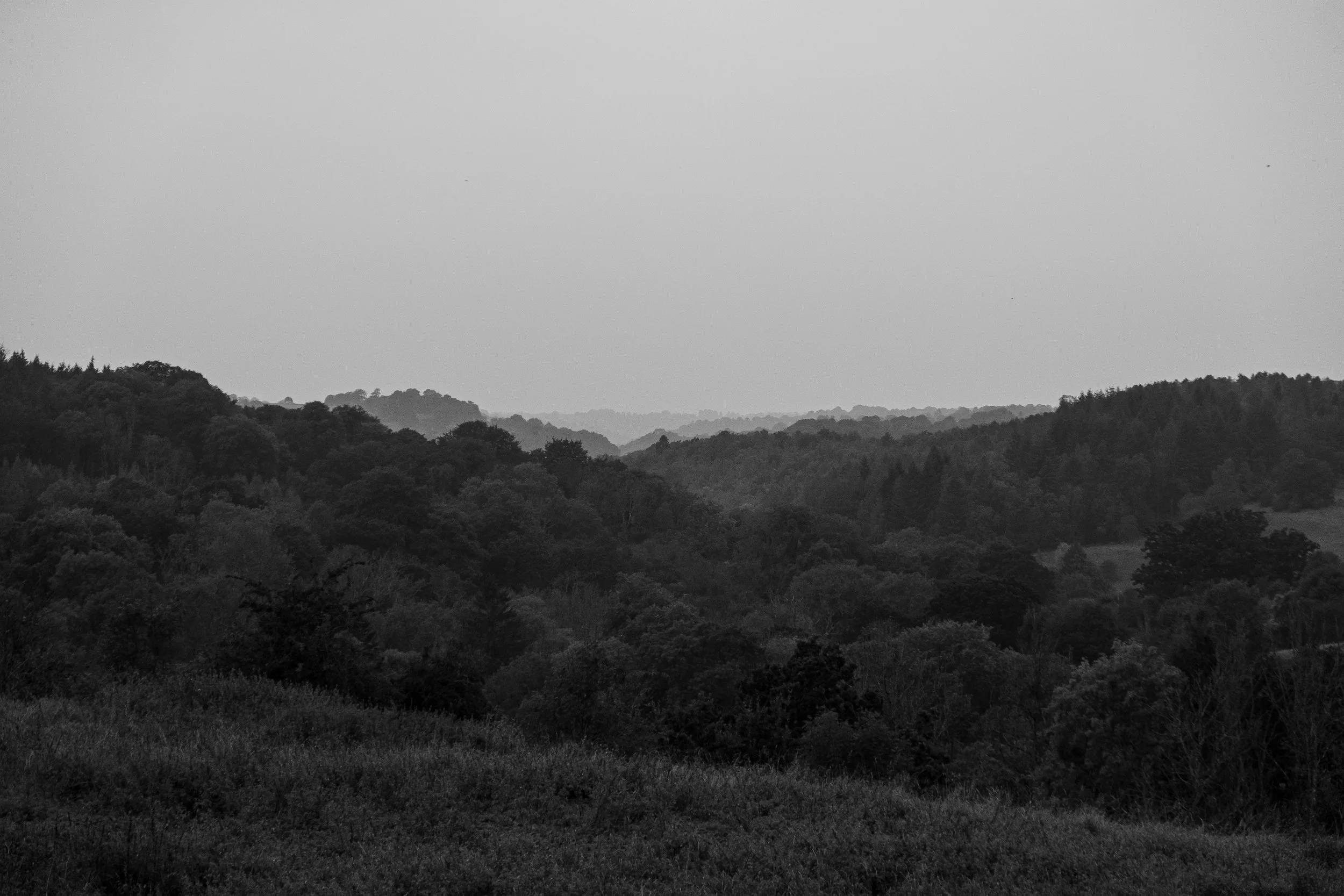DSCF9390.jpg