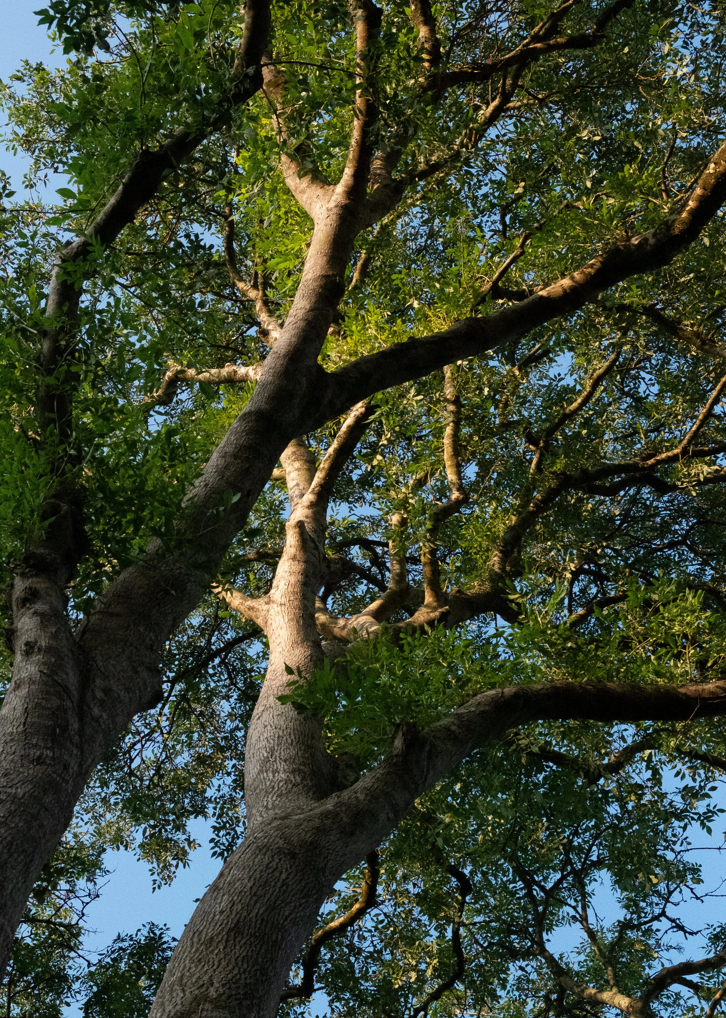 DSCF8434.jpg