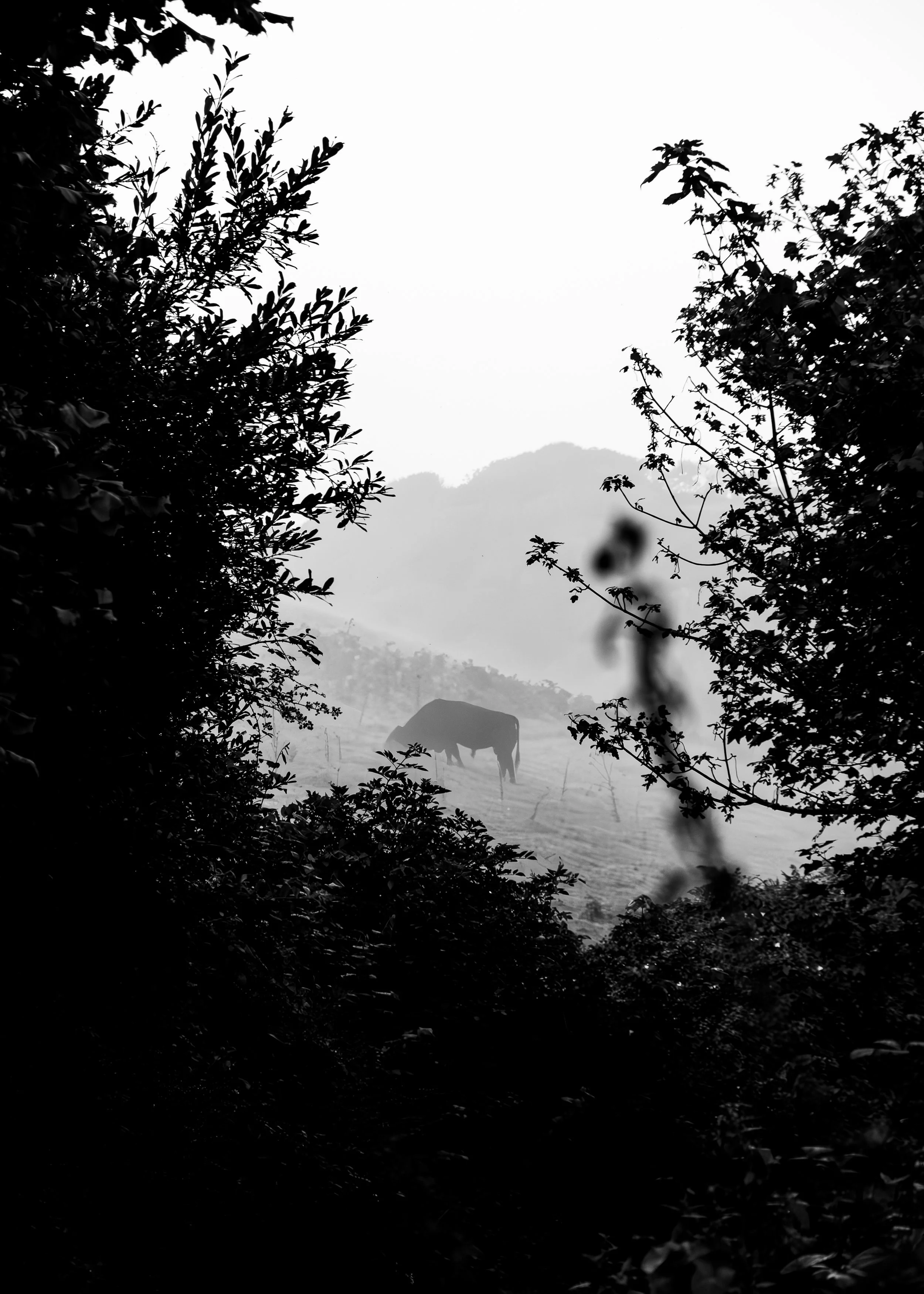 DSCF8540-Enhanced-NR.jpg