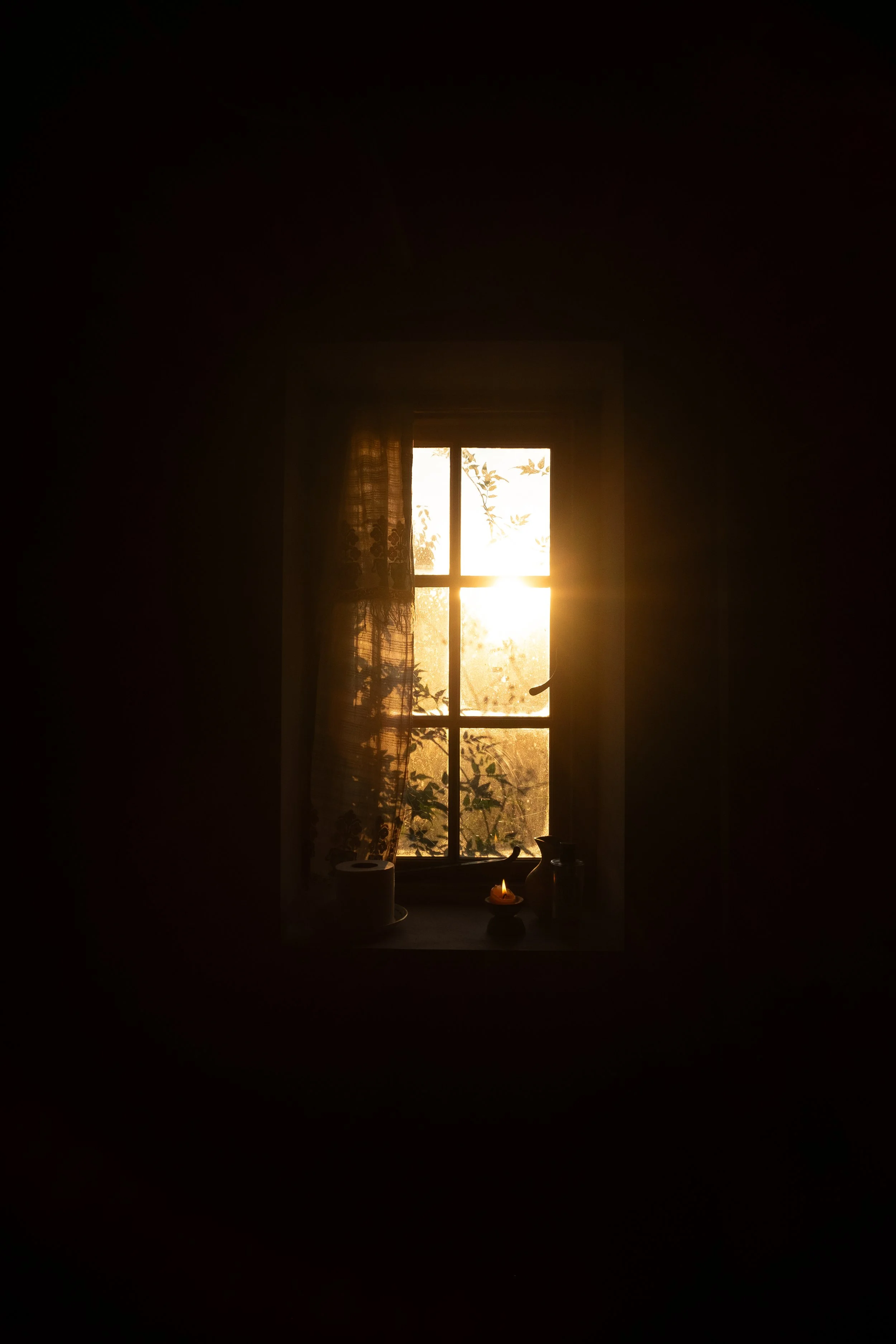 DSCF9171.jpg