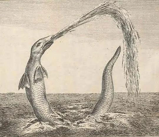 Sea Serpent Illustratlion