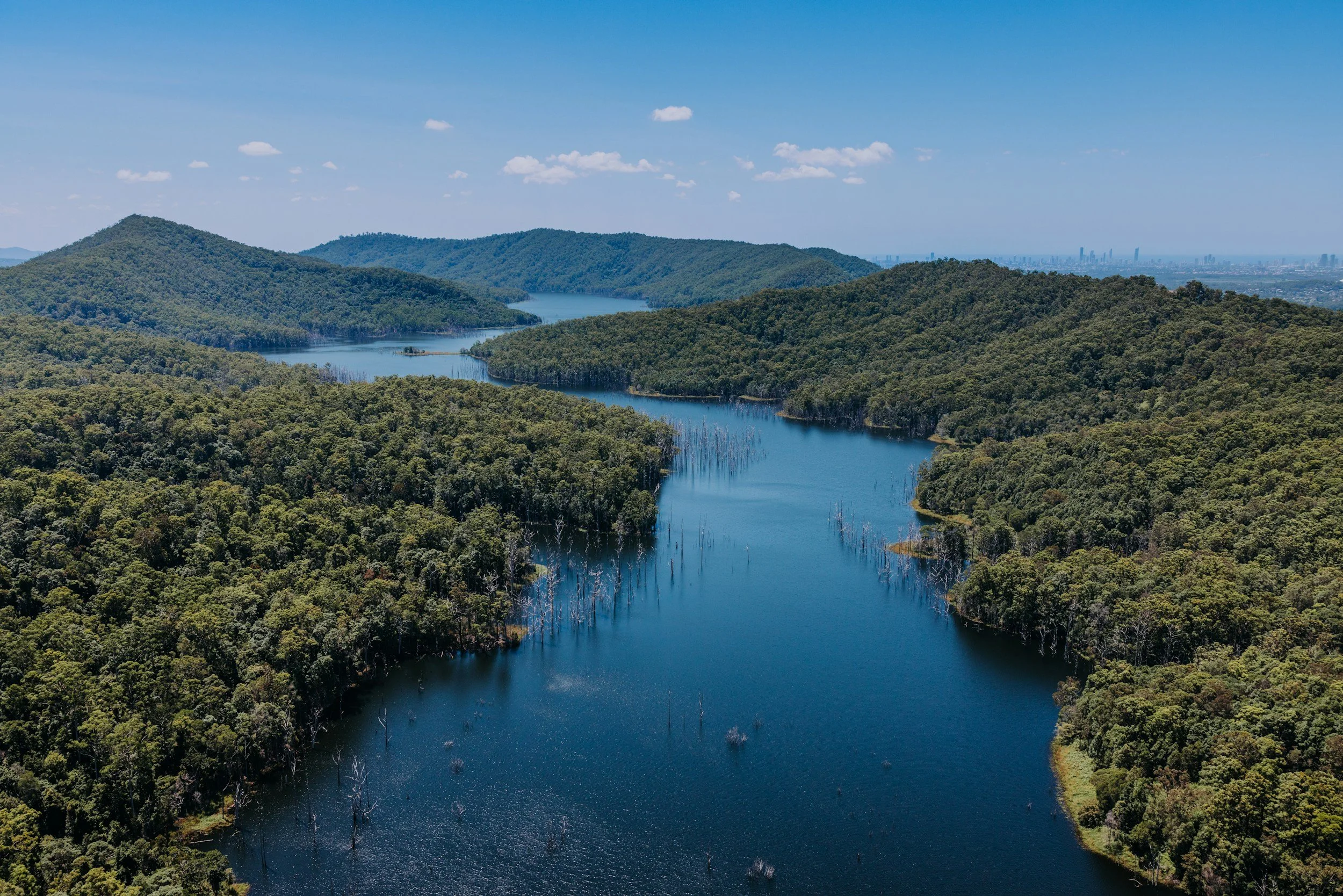 Aerial view of a river meandering through a lush green forested landscape, with distant mountains and a city skyline in the background under a blue sky with scattered clouds.