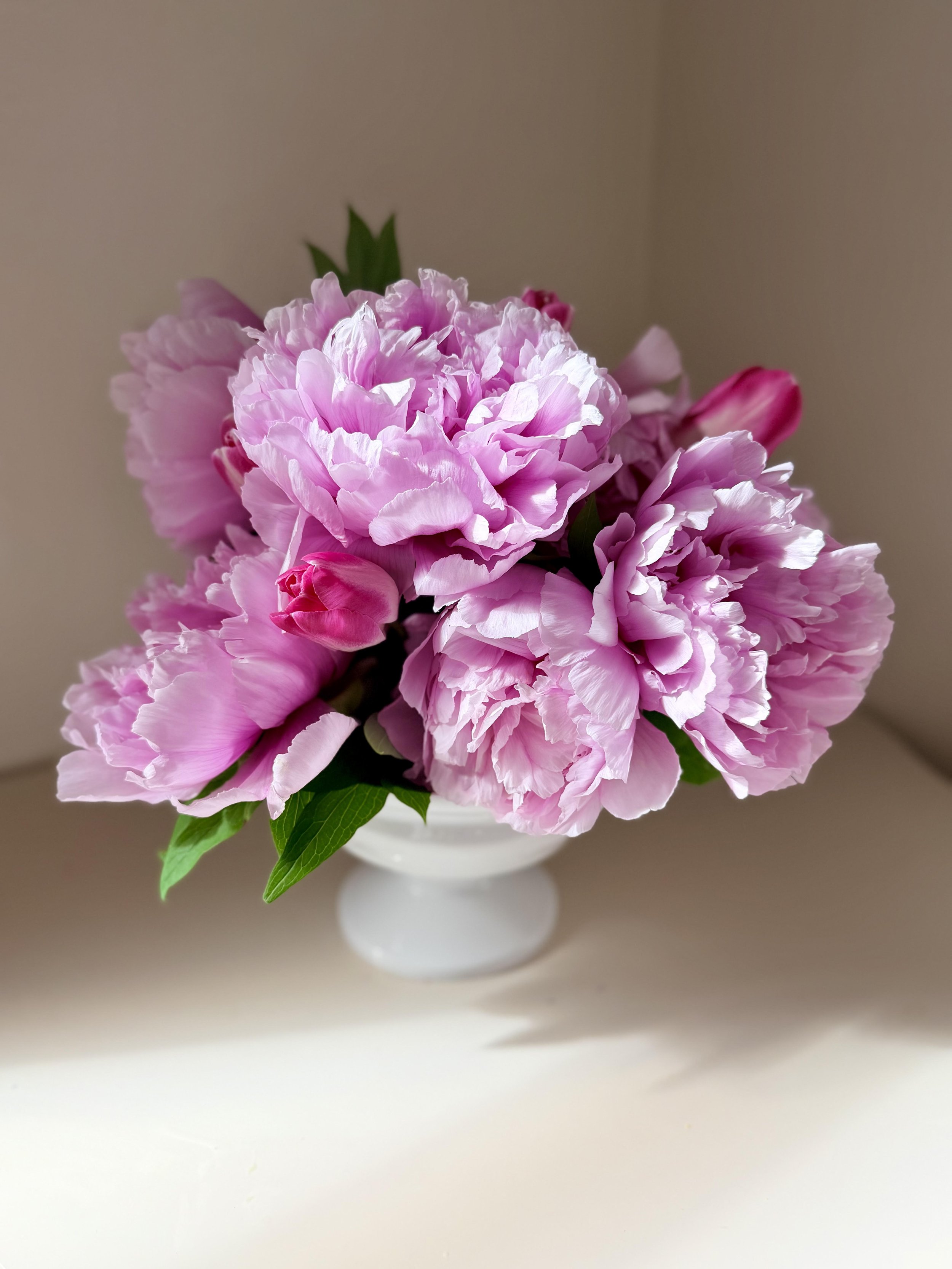 Garden subscription 2.jpg