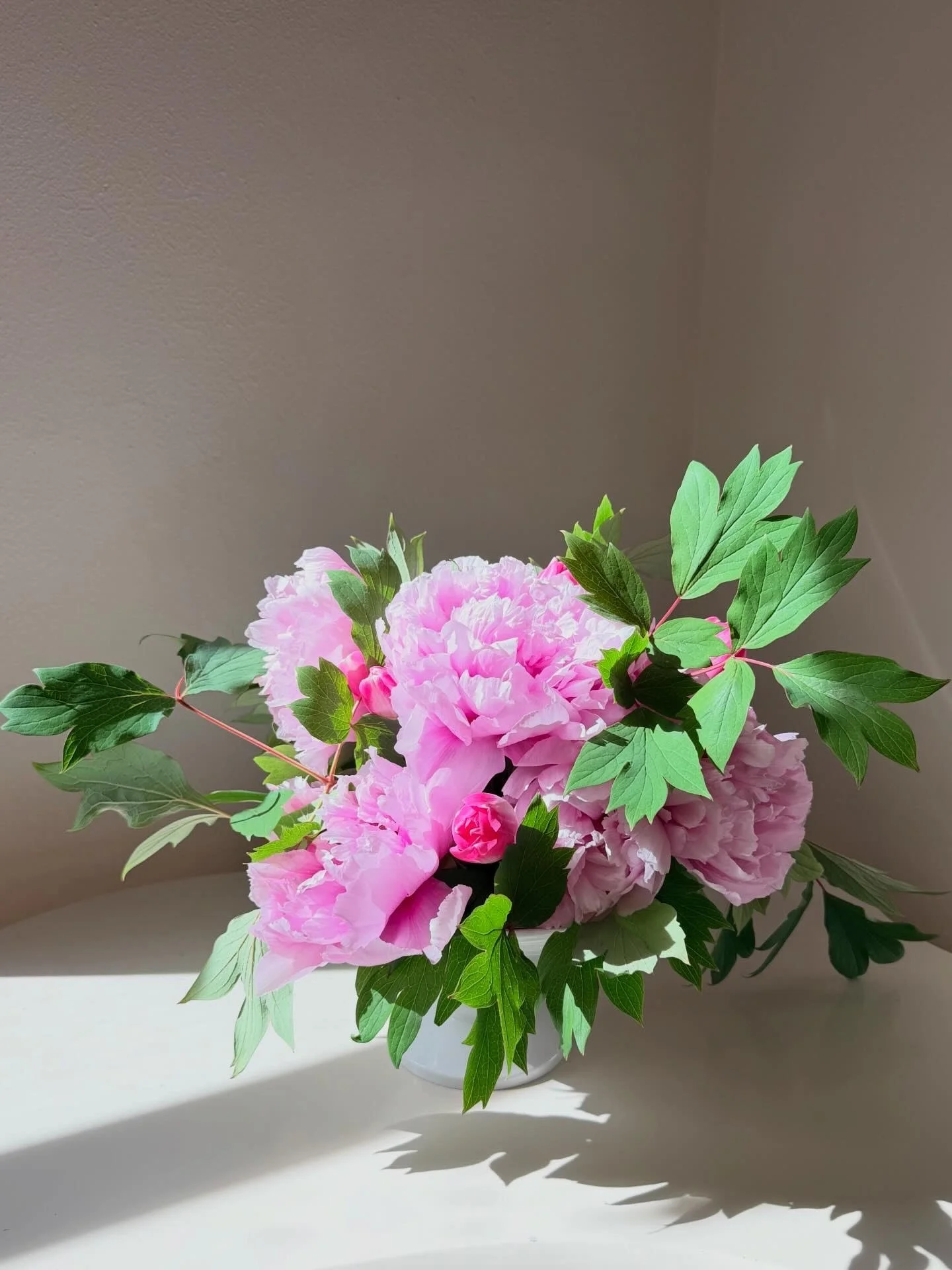 Garden subscription.jpg